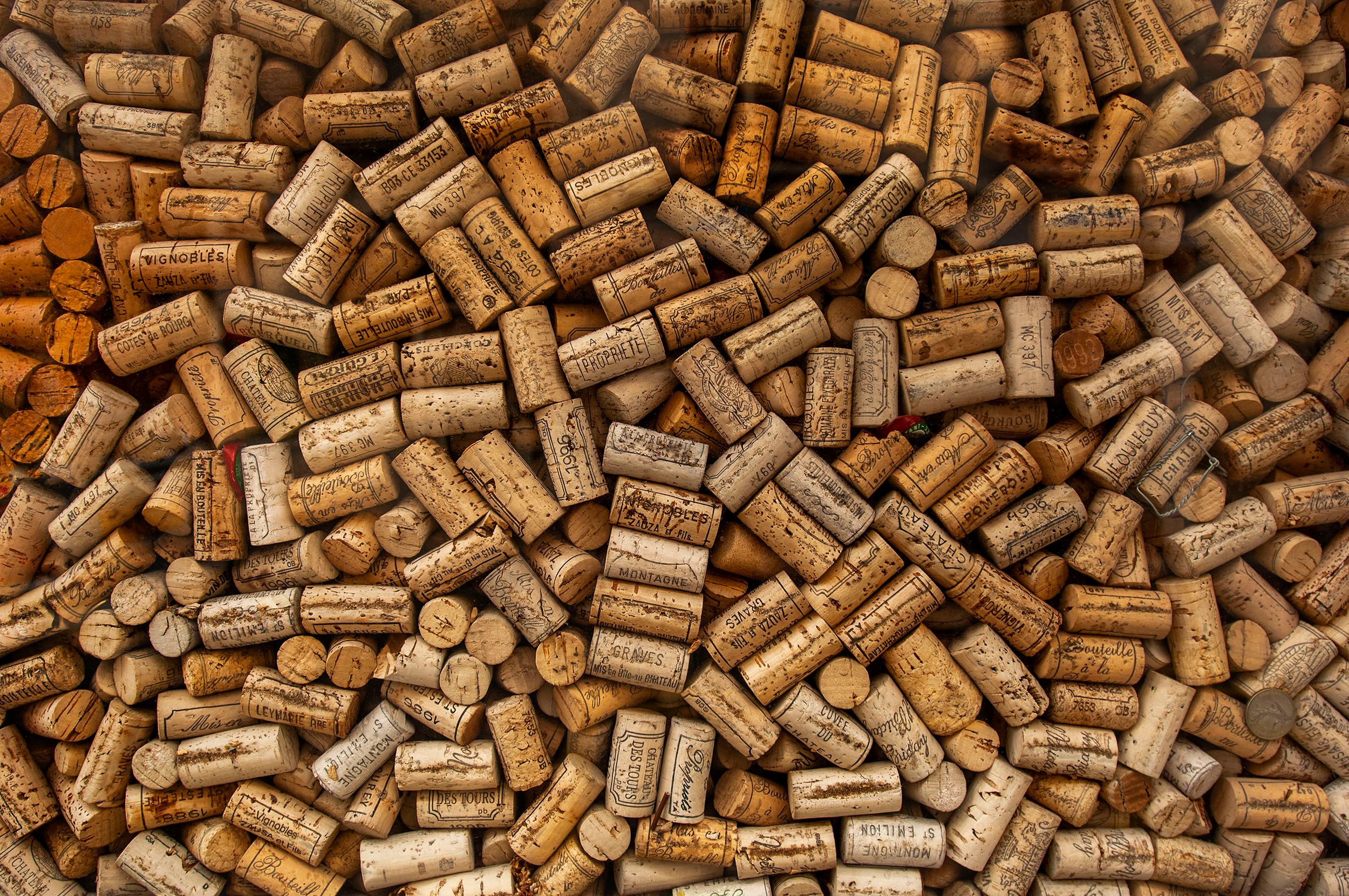 Award winning commercial photographer Steven Edson is hired by leading editorial magazines and corporations to create iconic photographs world wide. Boston Commercial Photography