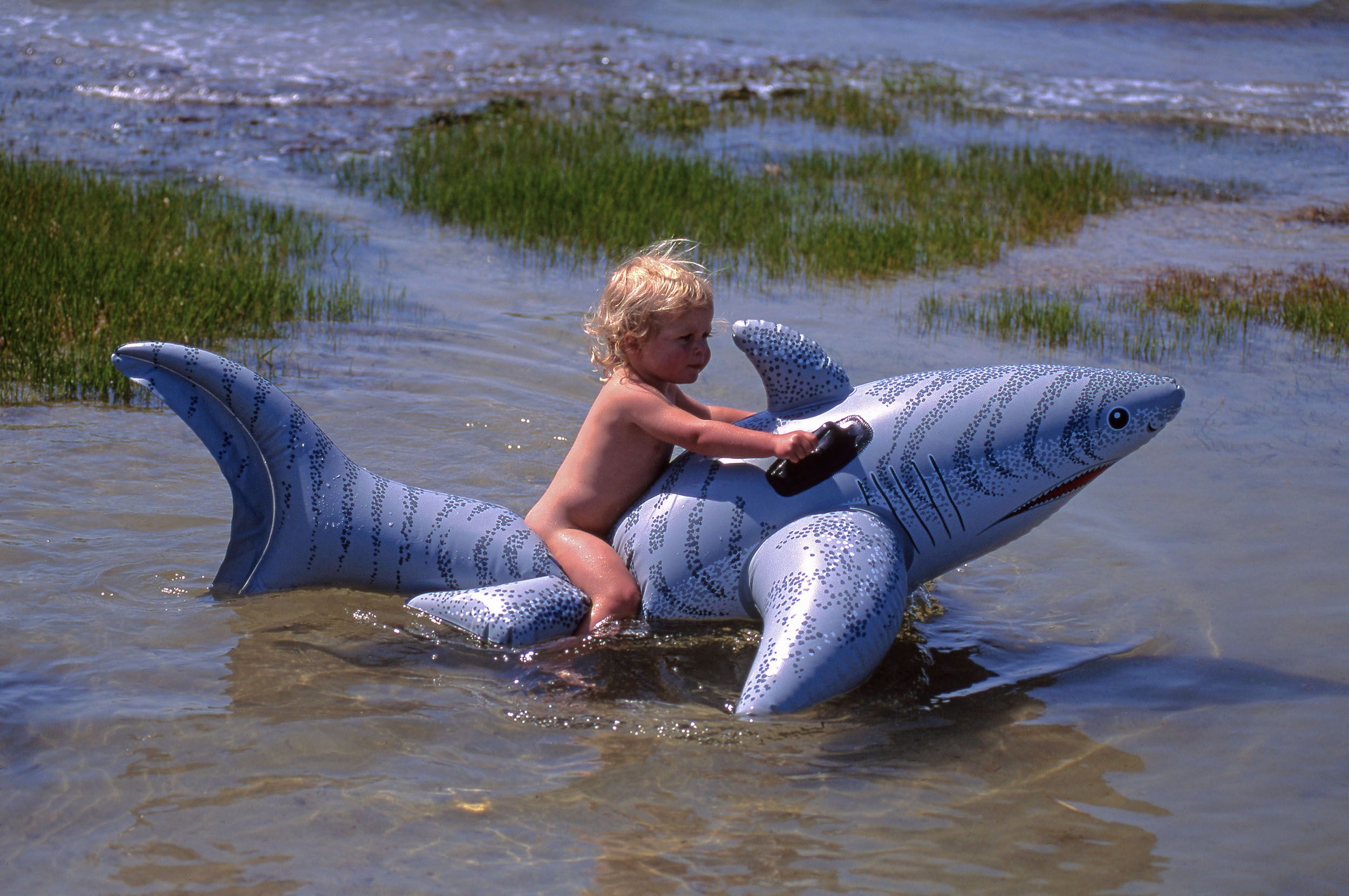 1980-2000: Color Film Photography