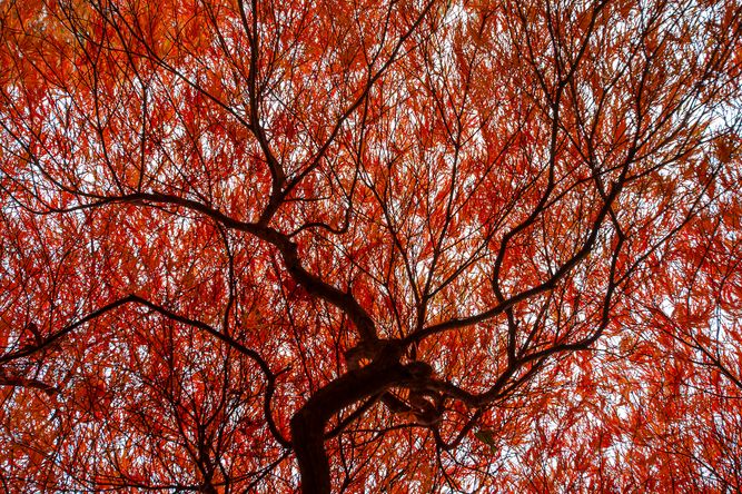  Whispers in the Wind