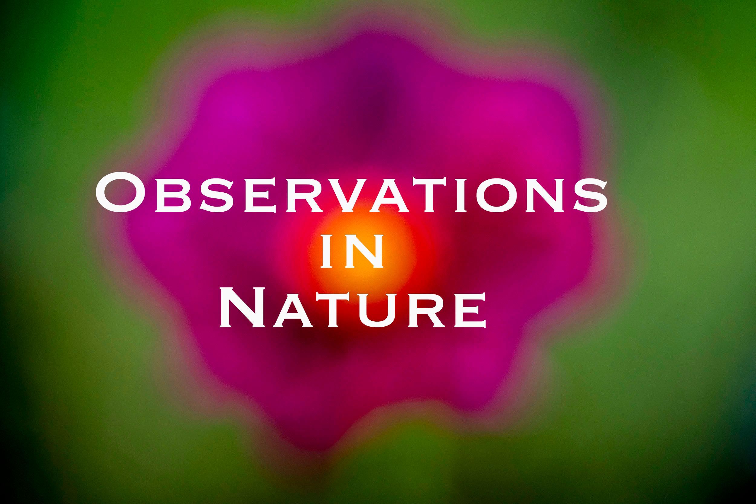  Observations in Nature