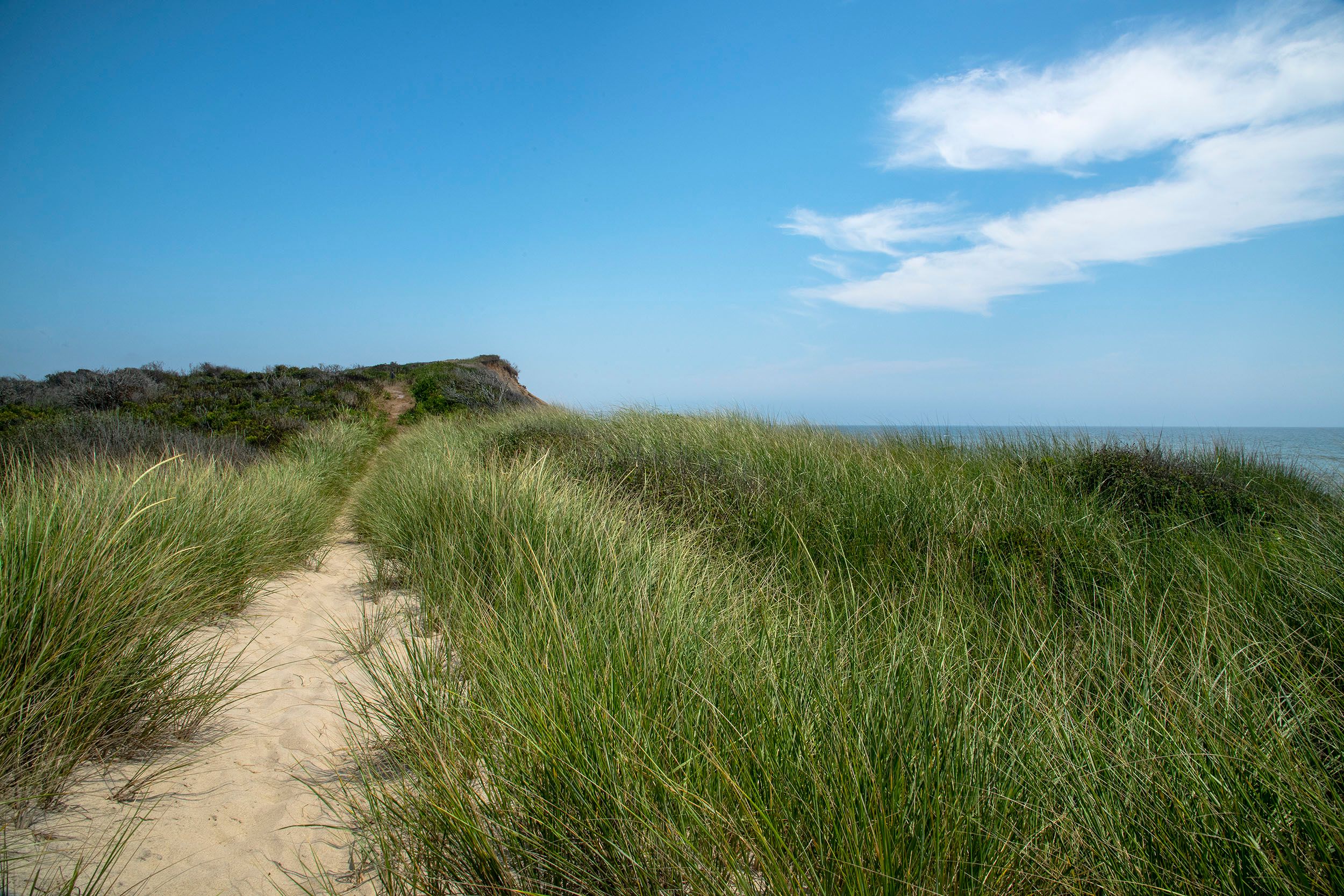 Martha's Vineyard: Up Island - Steven Edson Documentary / Fine Art ...