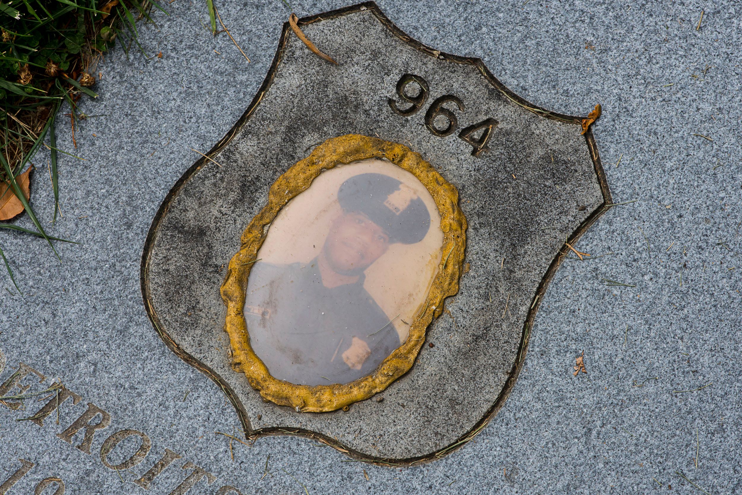 Shield No 964