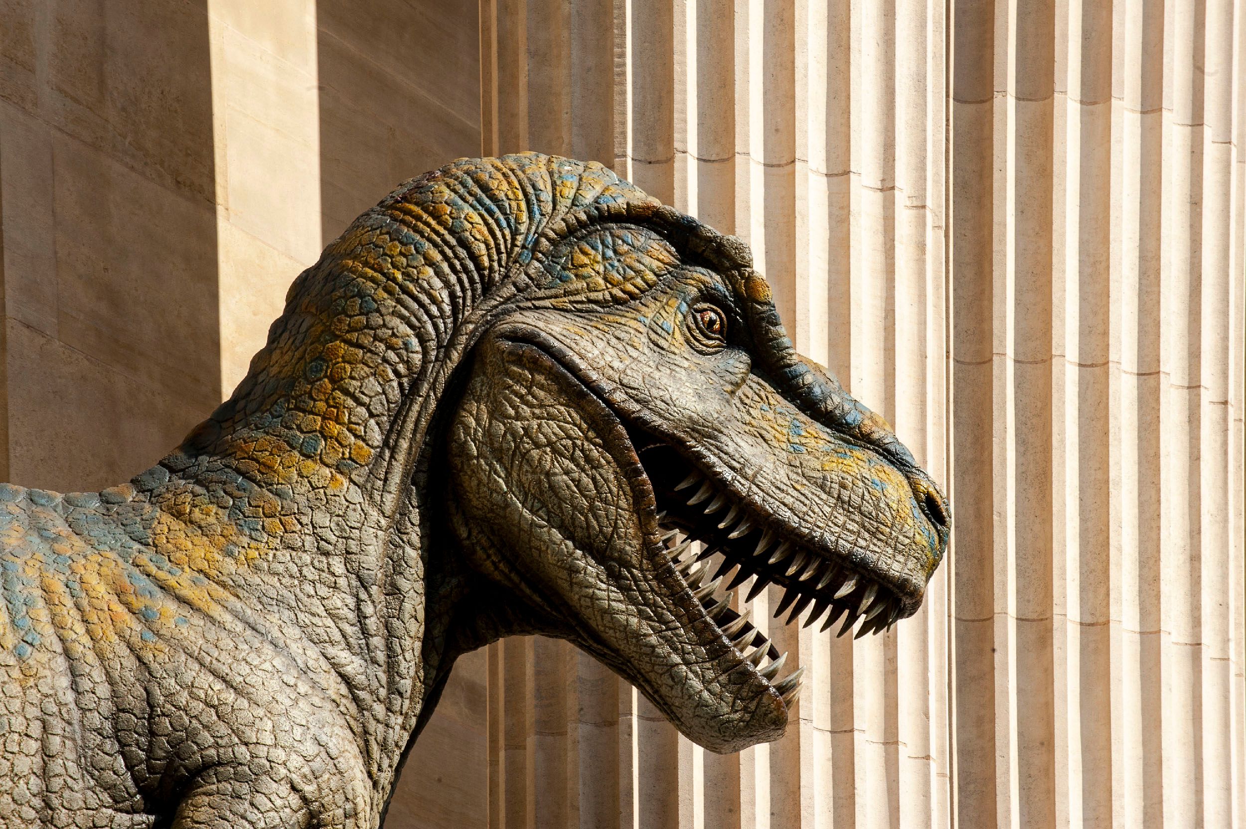 Steven Edson is an award winning fine art and editorial photographer who captures essential moments around the world. Boston Editorial Photography