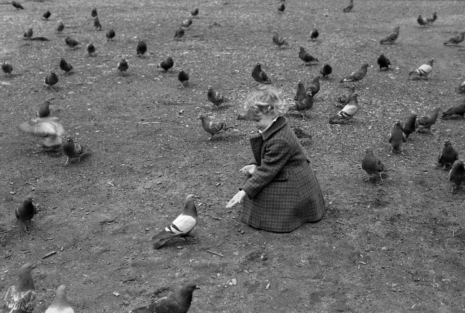 Girl Feeding Pigeons 
