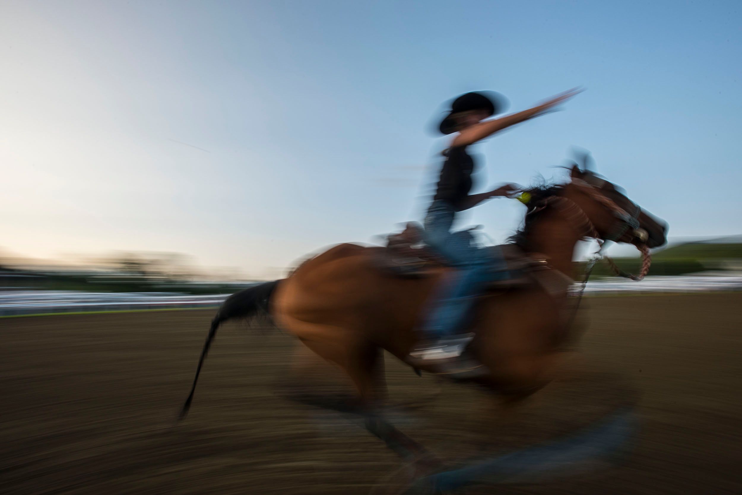 Orleans County Fair