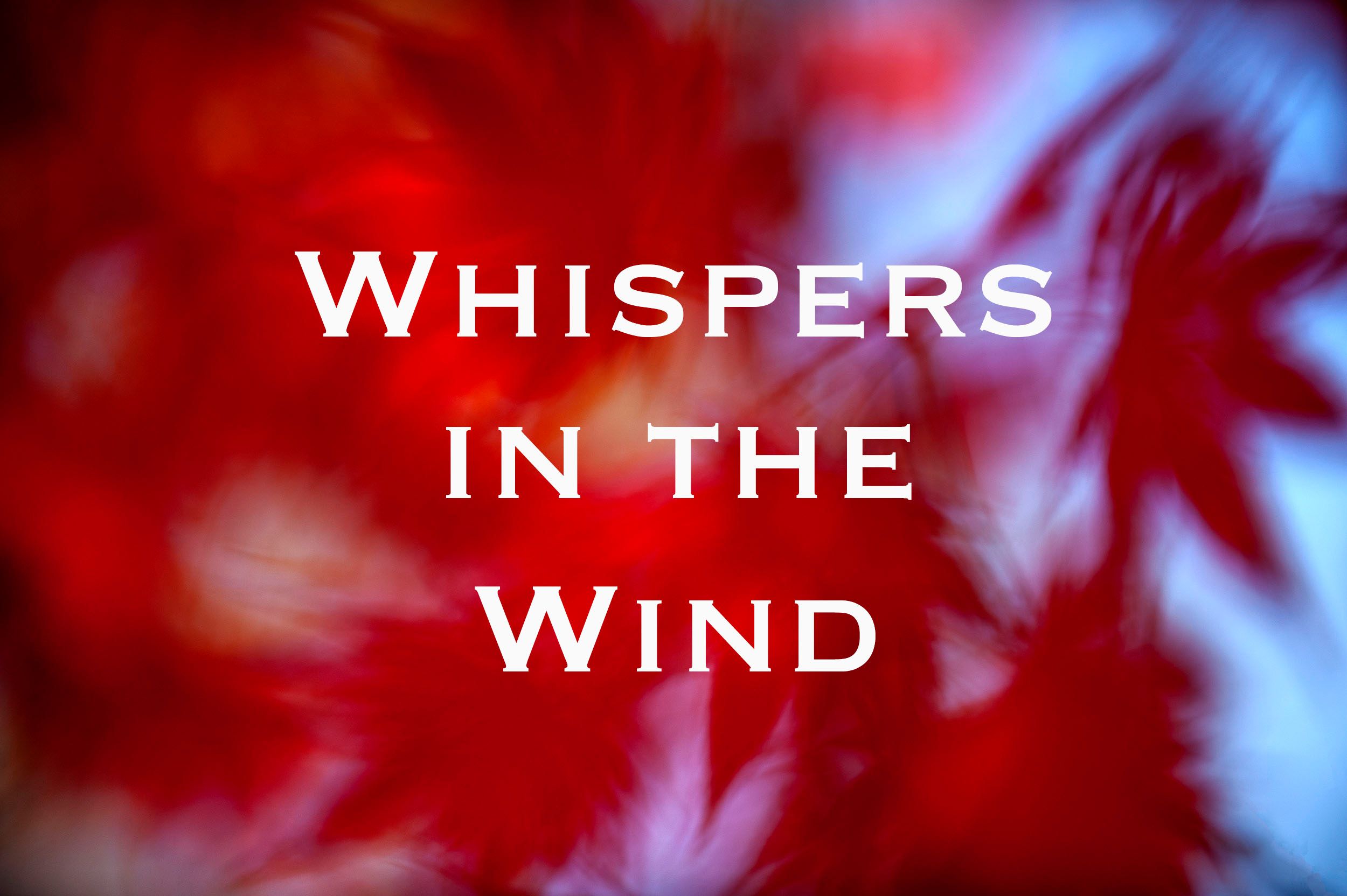  Whispers in the Wind