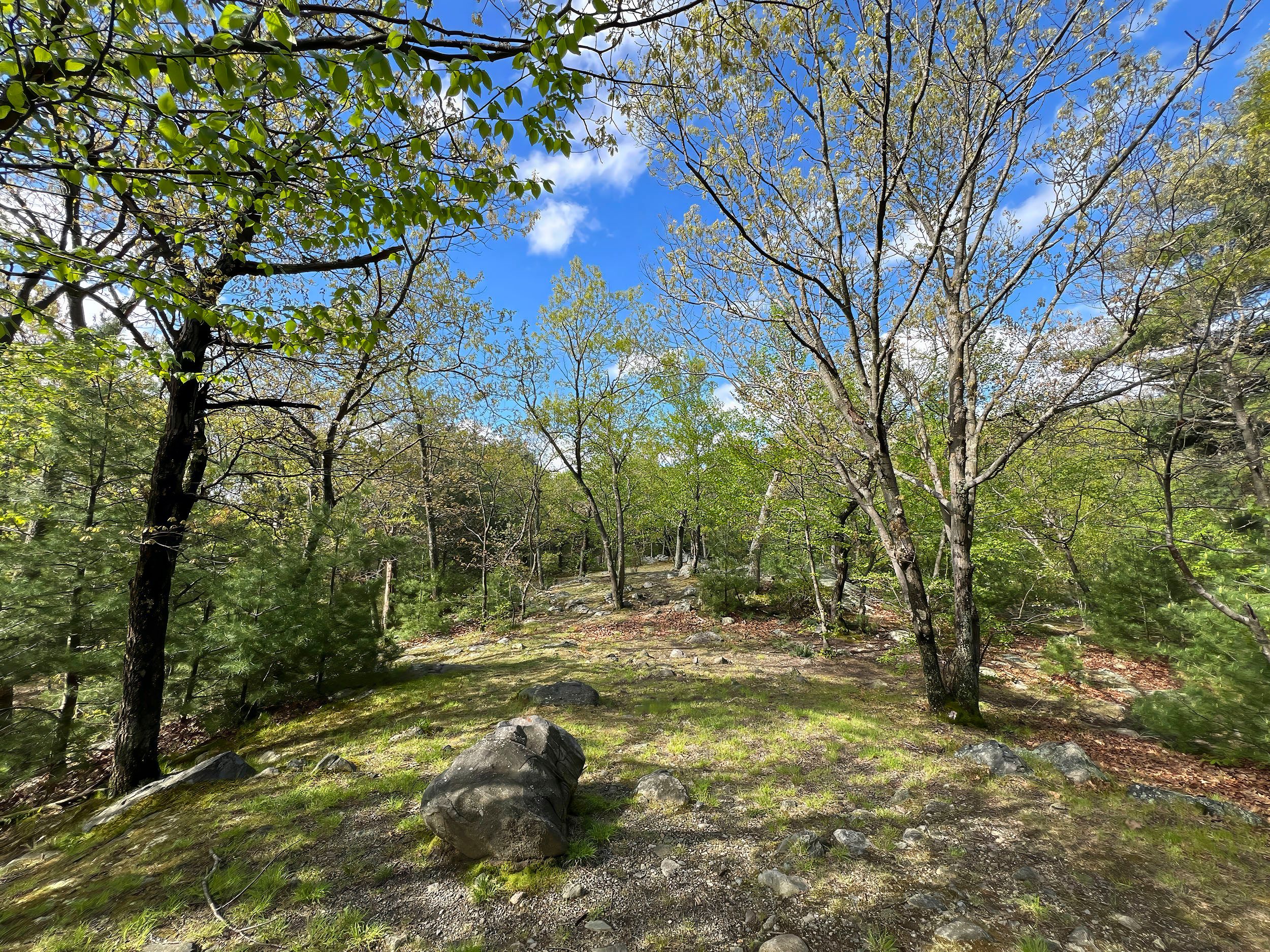 Menotomy Rocks Parkpg