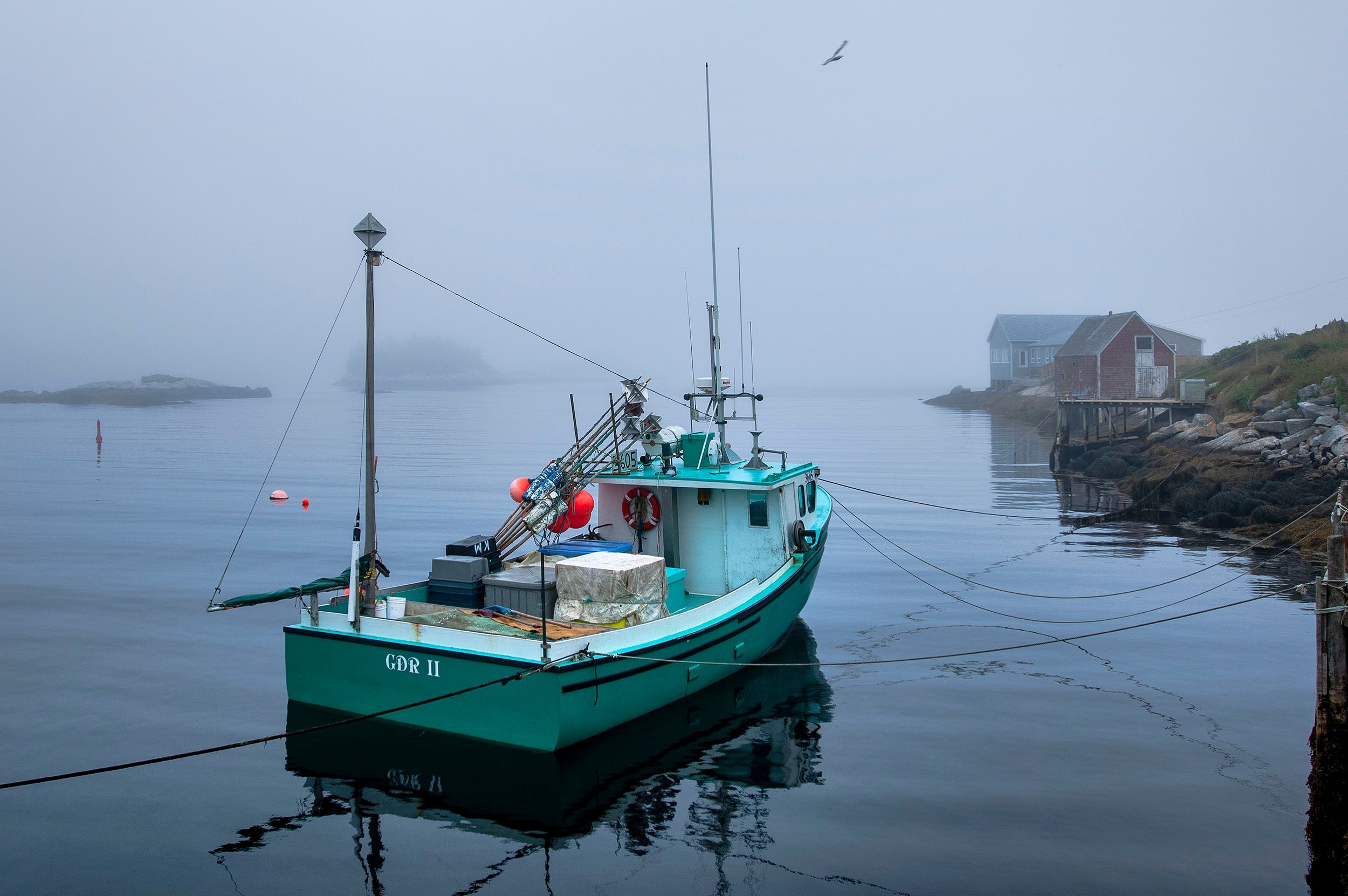 Award winning and published documentary photographer Steven Edson is a creative documentary photography working for editorial, advertising, and corporate clients in Boston and around the world. Boston Documentary Photography