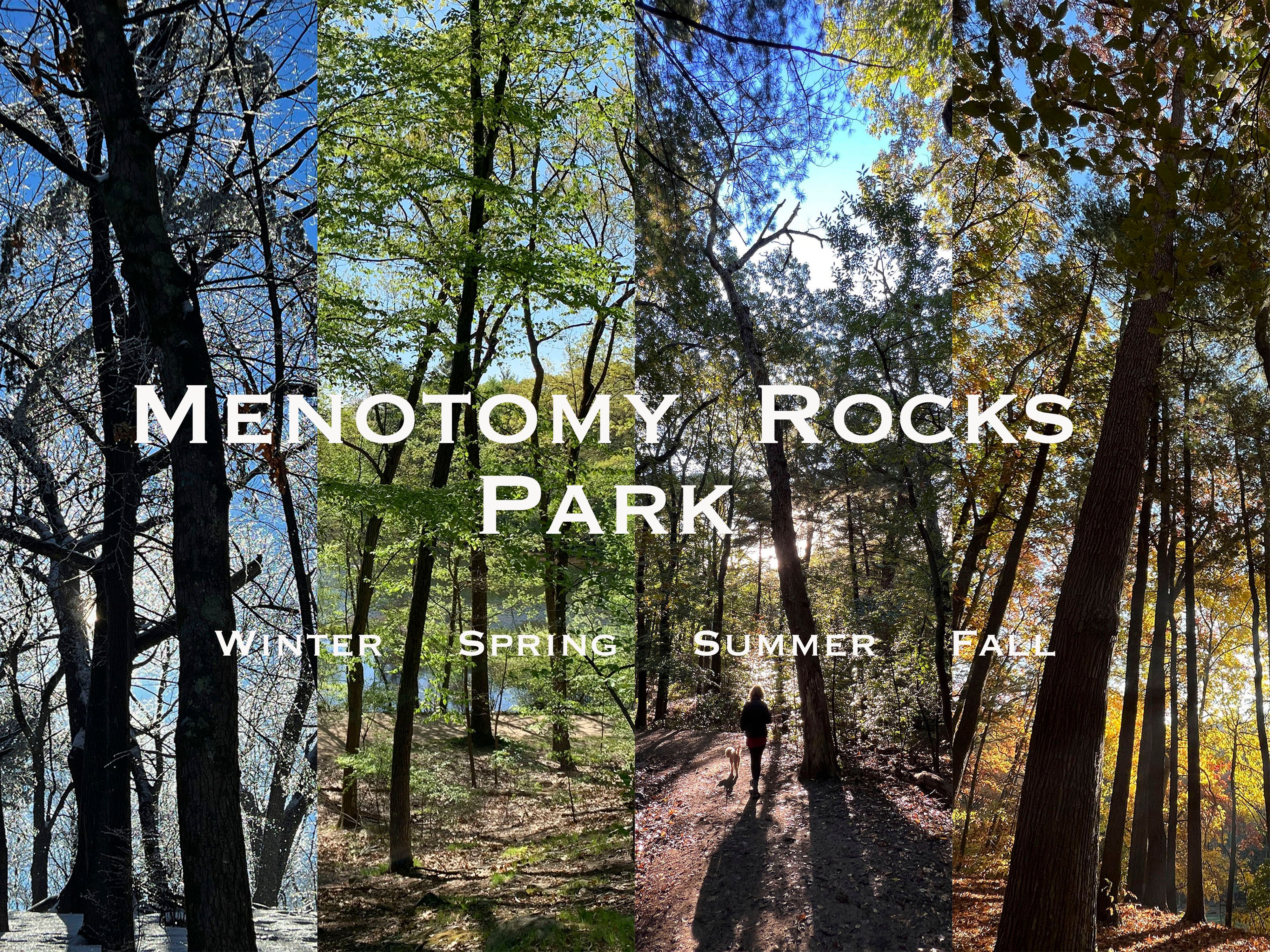 Menotomy Rocks Park 