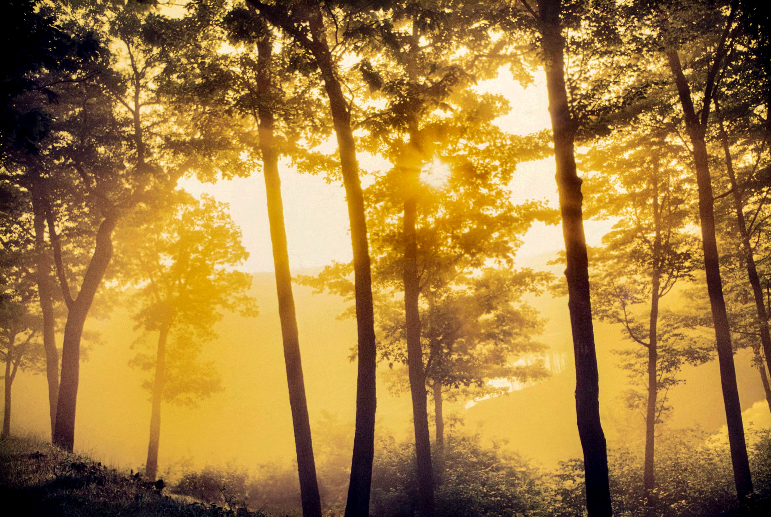 Letchworth State Park  at Sunrise