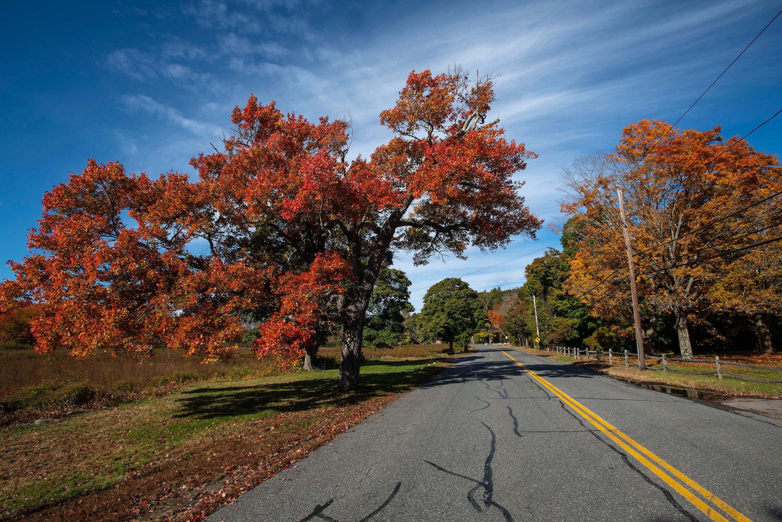 Battle Road
