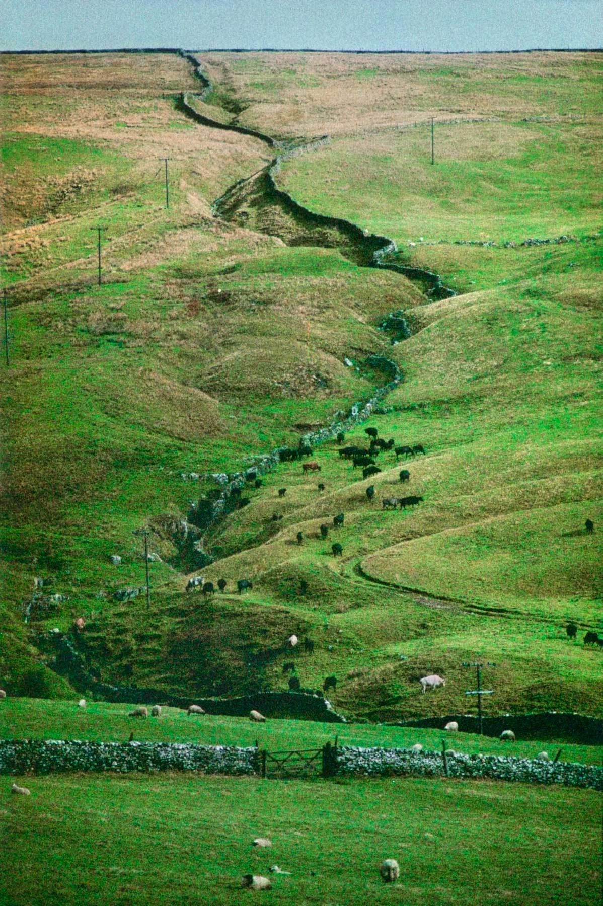 A scene that shows the amazing things the Scots can do with a rock wall, and how they deal with the challenges of their native landscape. Winding Wall, the Highlands