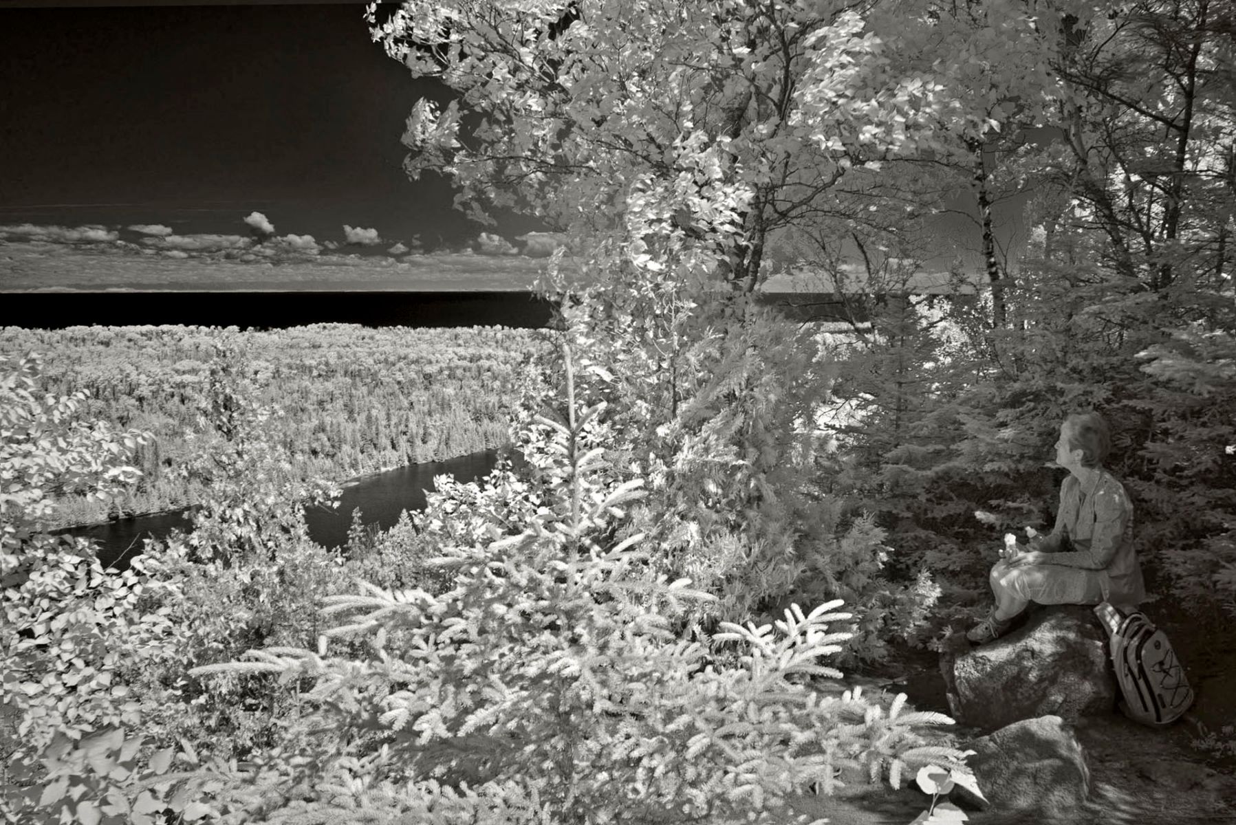 Visitor, Mount Franklin