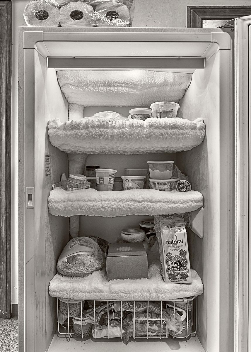 The Freezer before I Defrosted It The Freezer before I Defrosted It