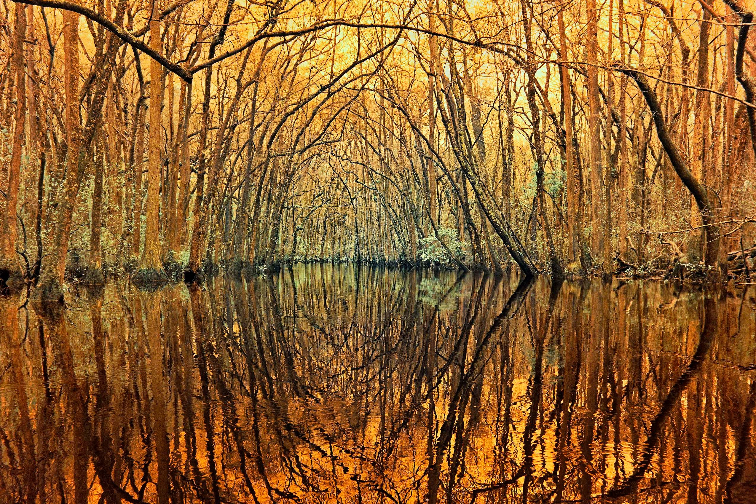 Arch over Black Creek, Hartsville, South Carolina