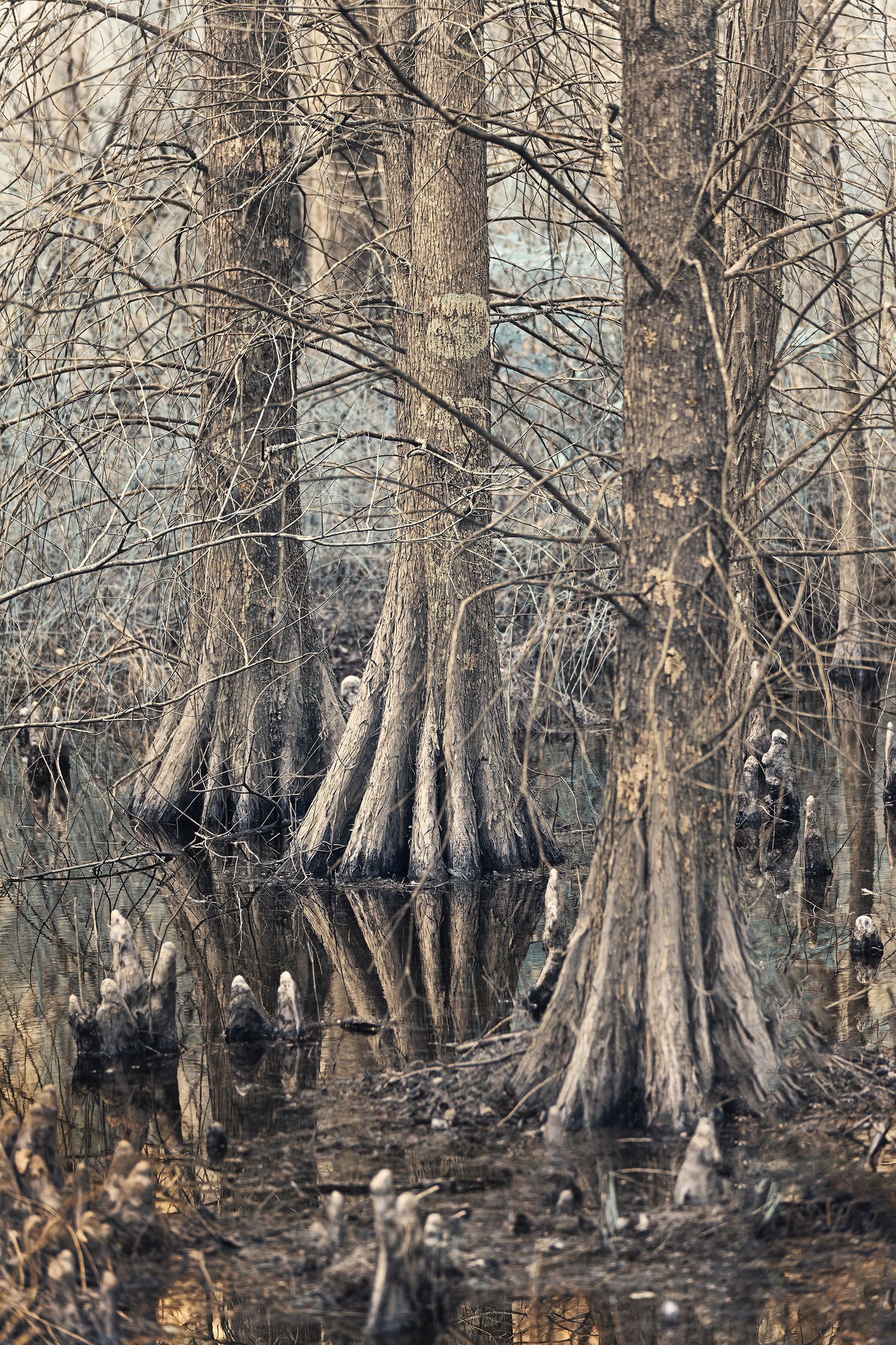 _DSC8476_DxO-Recovered_szsh copy 2.jpg