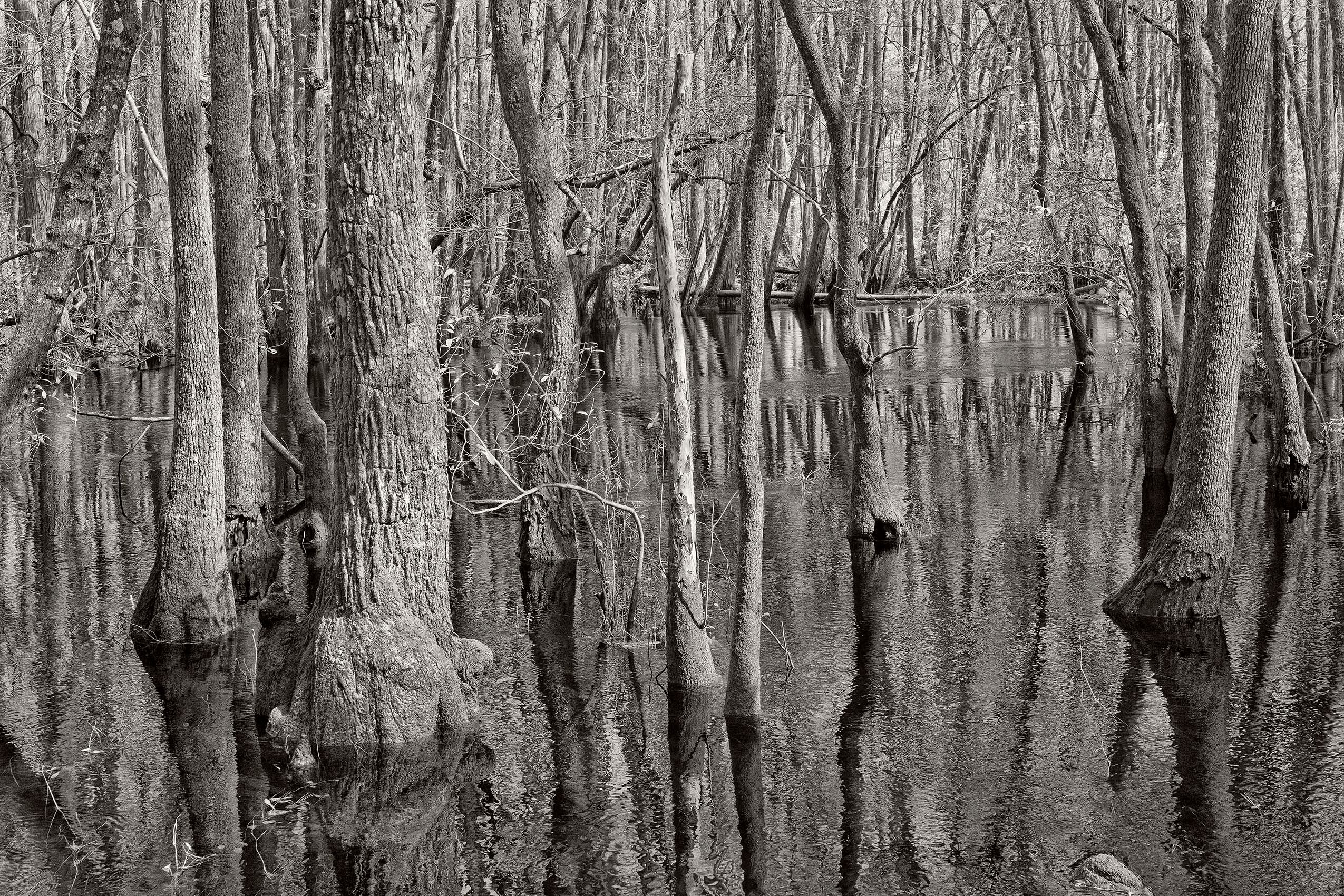 _DSC1851_DxO_tone_szsh_flat copy 2.jpg