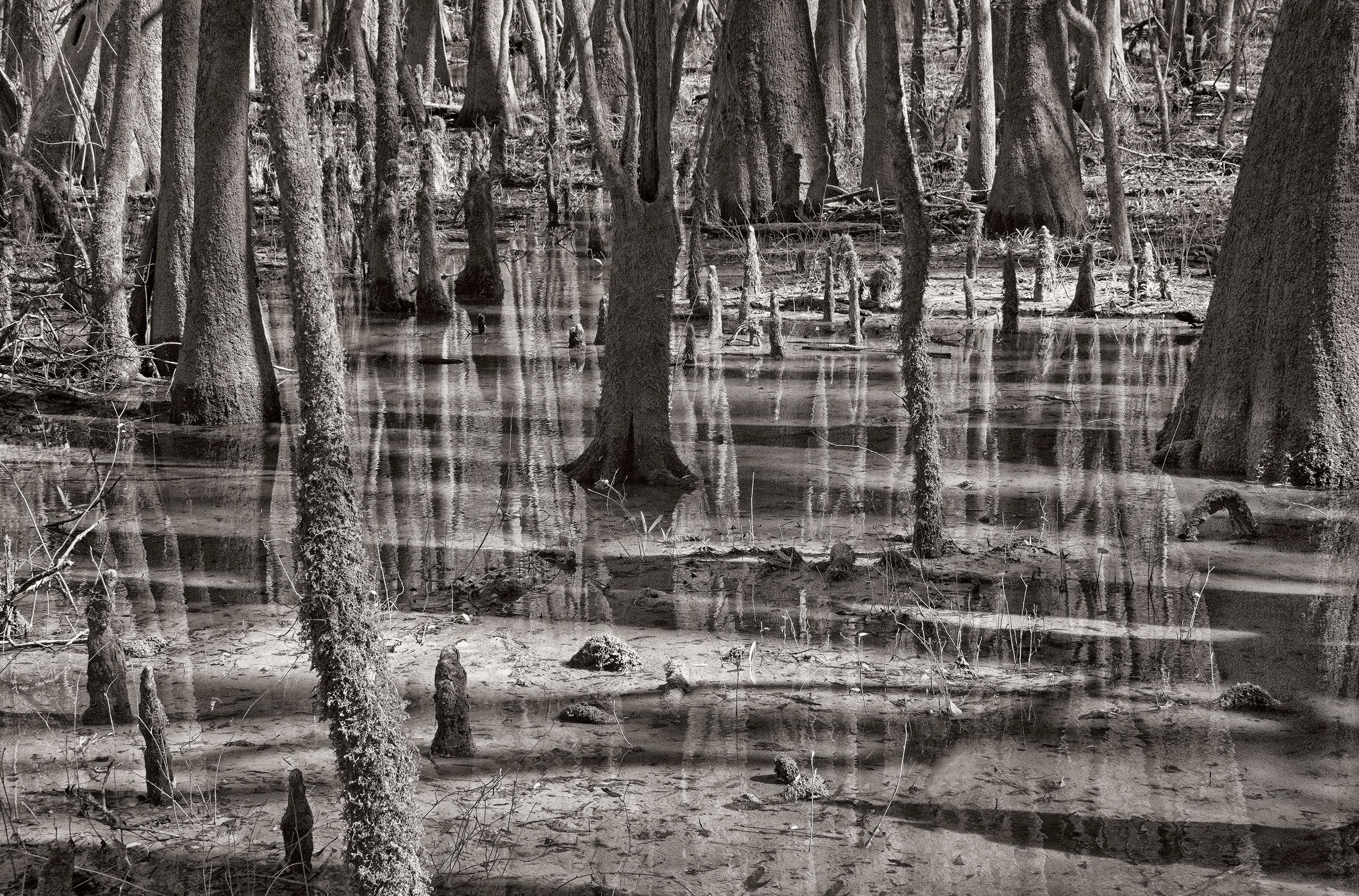 _DSC1682_DxO_szsh_br+_flat copy 2.jpg