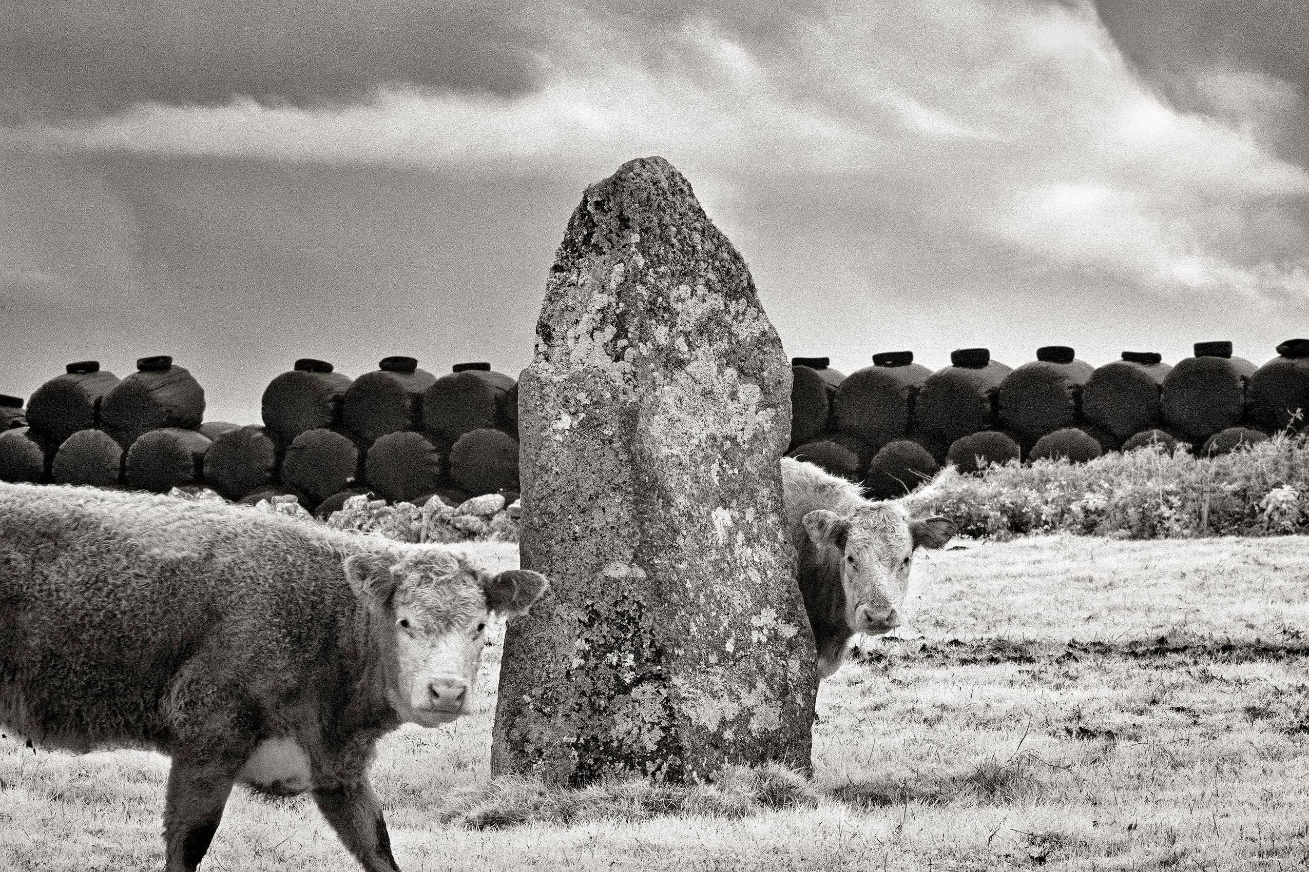 _DSC1179_DxO_toned_szsh_ltr_flat copy 2.jpg