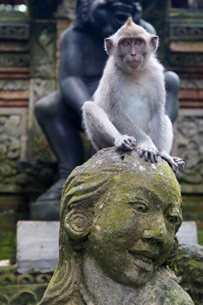 Sacred Monkey Forest, Ubud, Bali, Indonesia