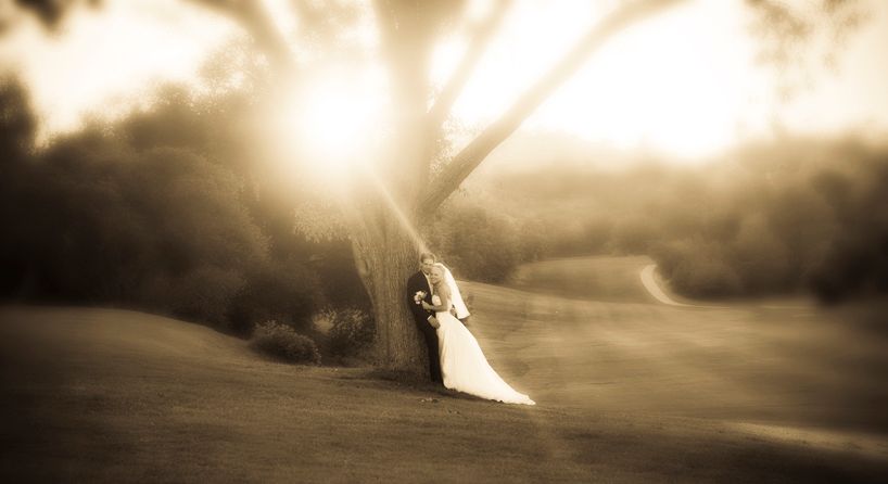 1_U1G4517_copy_2ggcrop_copywe