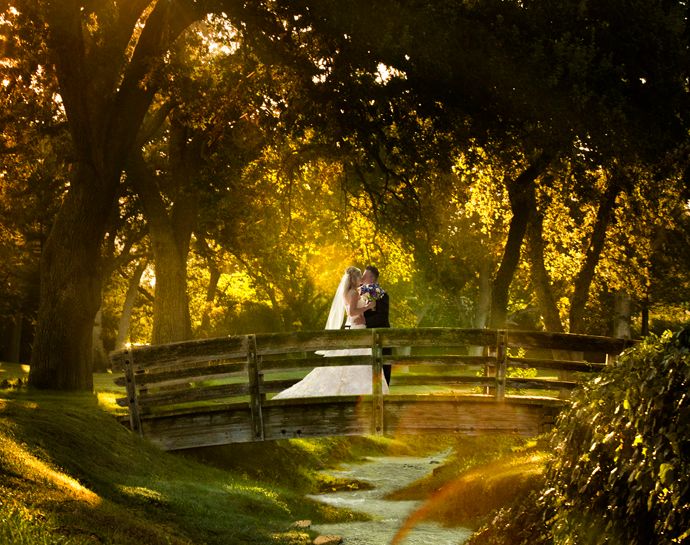 1c_3r8a8852_002_crop_b_copynoflarehorizc2web