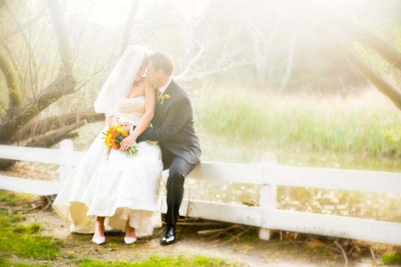 1_U1G0407_copy_2_copy_5rwof_copyggweb