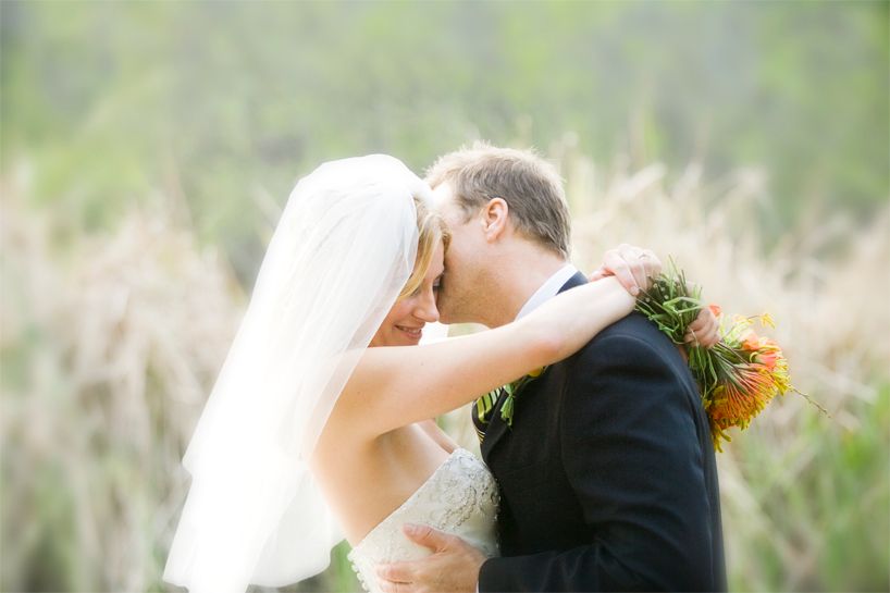 109BO8106_copyrwoweb2