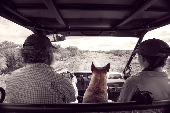 Riding on White Ranch in a mule A ranch manager, biologist an d their dog in a mule