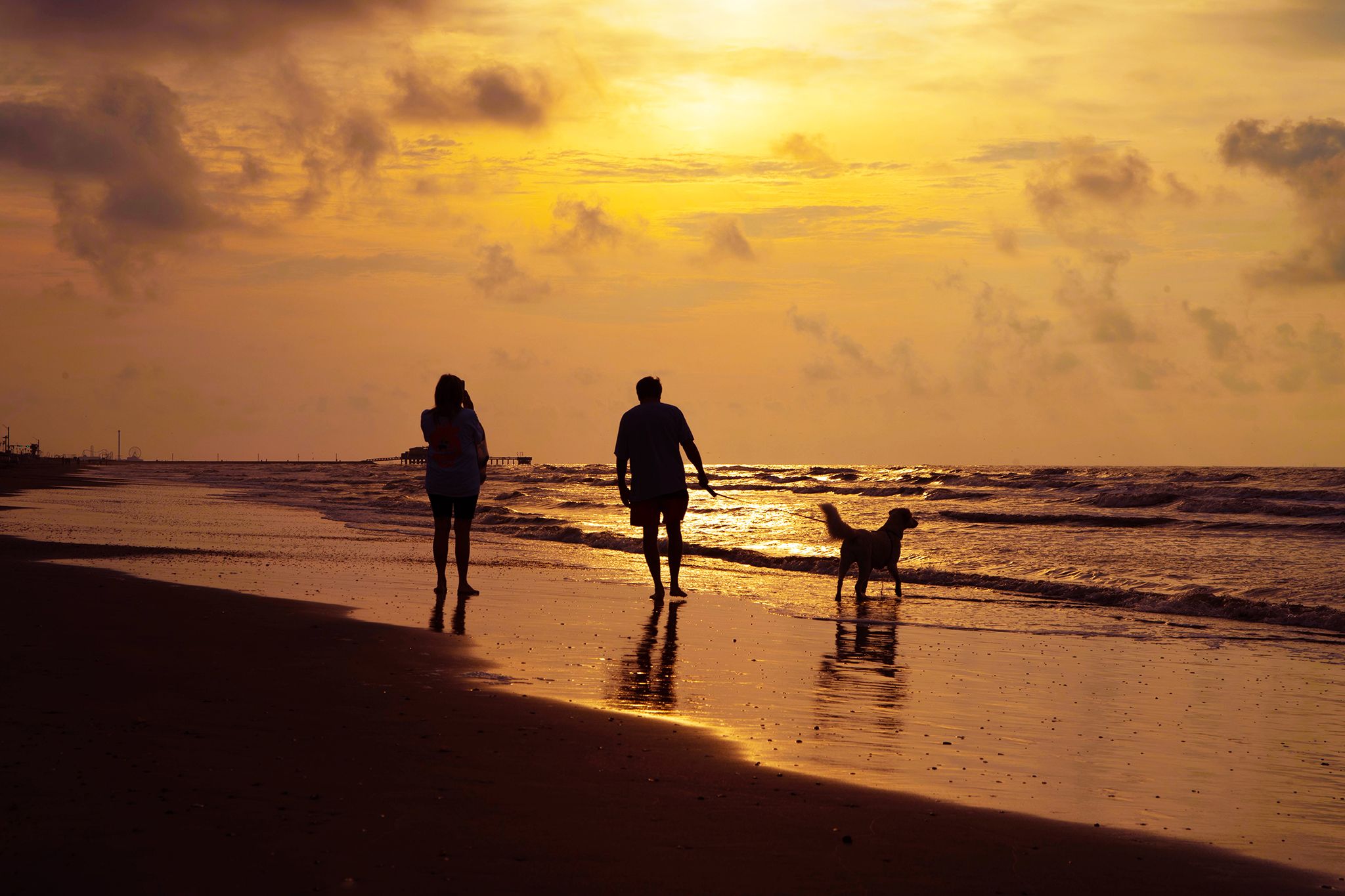 Family with dog walking on the beach