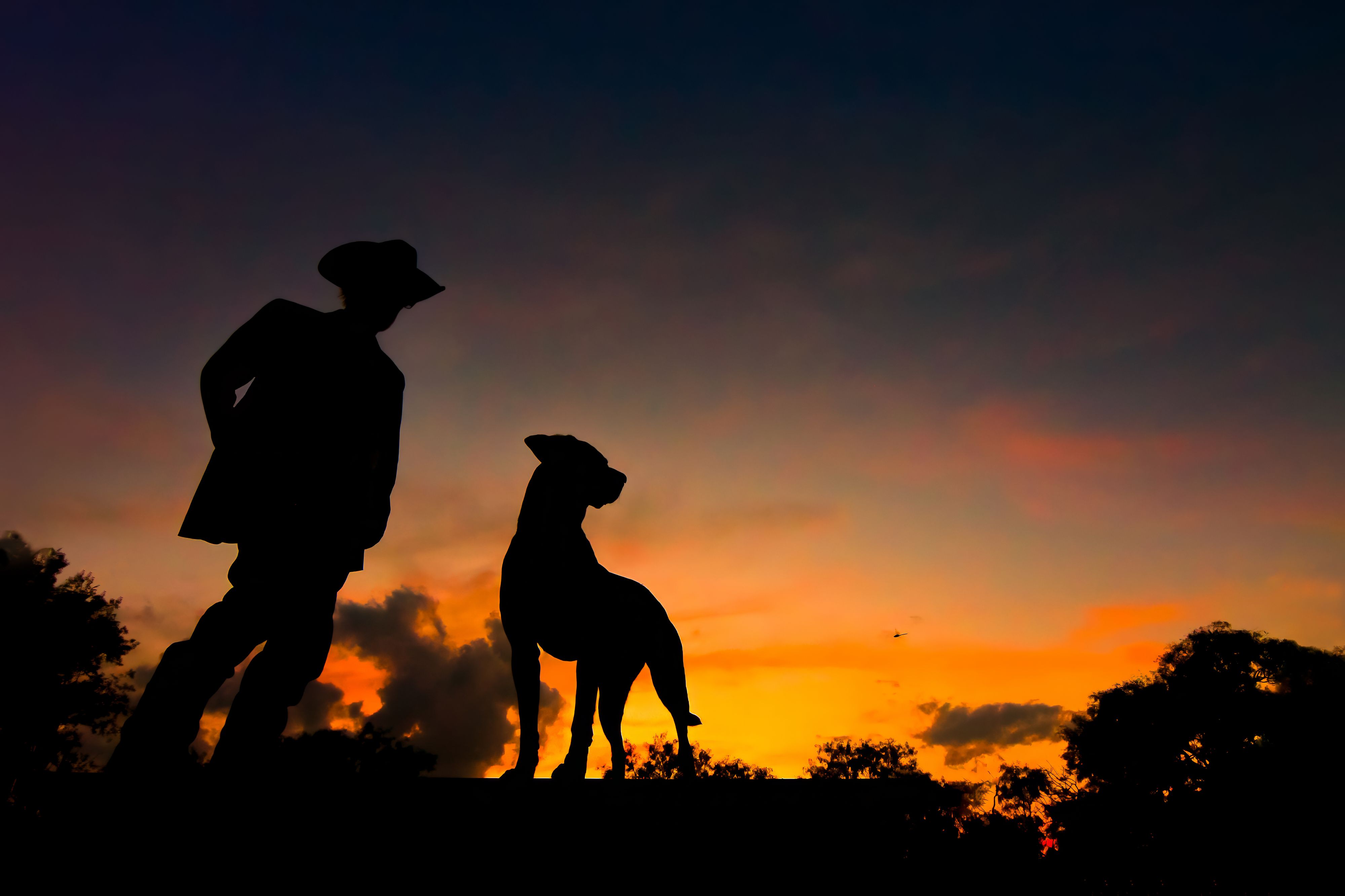 A man and his dog during sunset