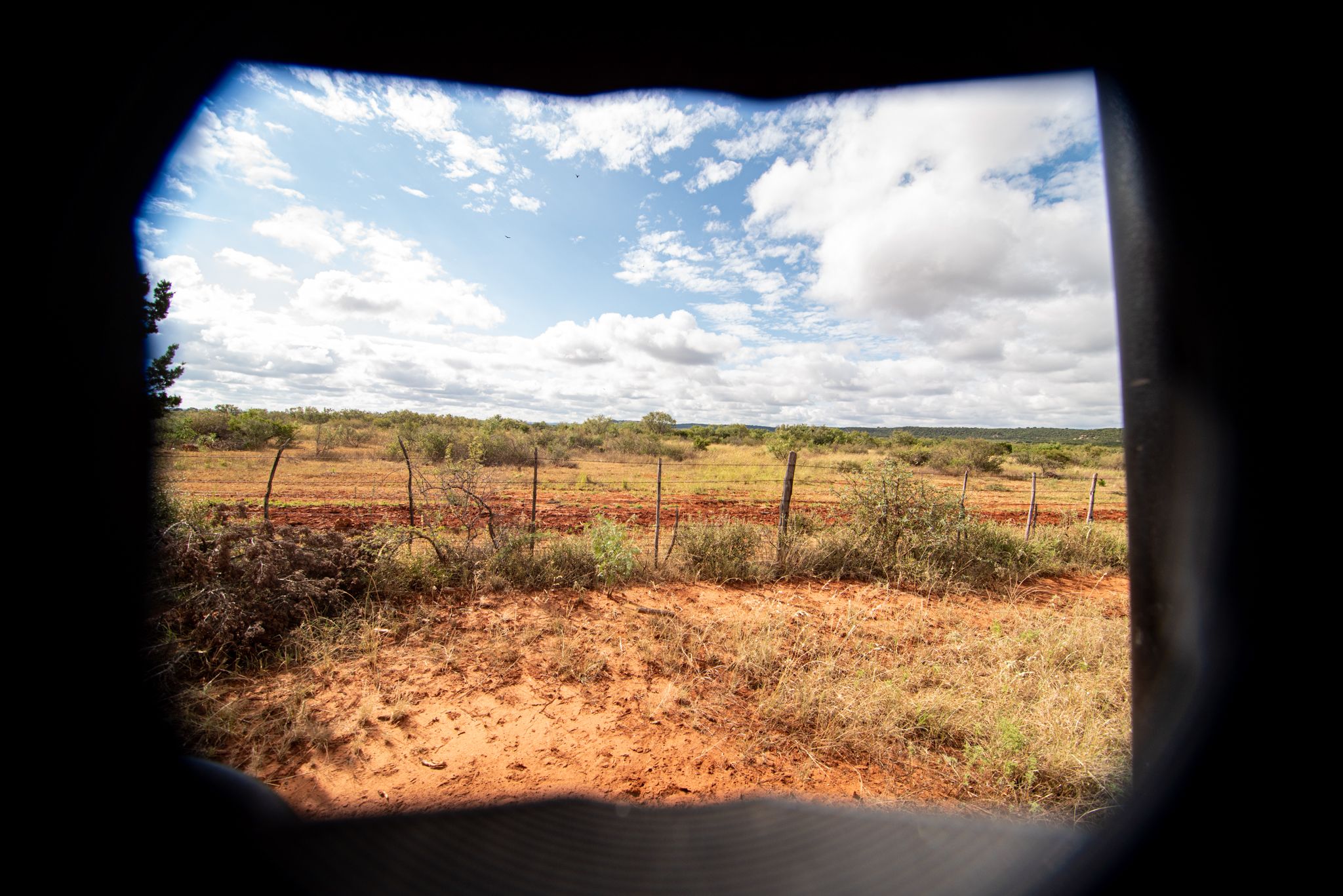 The Landscape at White Ranch in Mason Texas.