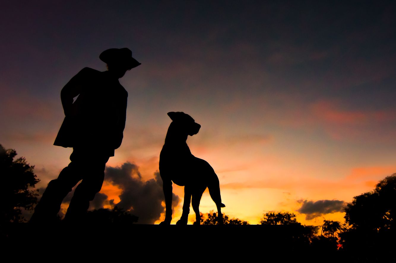 A man and his dog at sunset