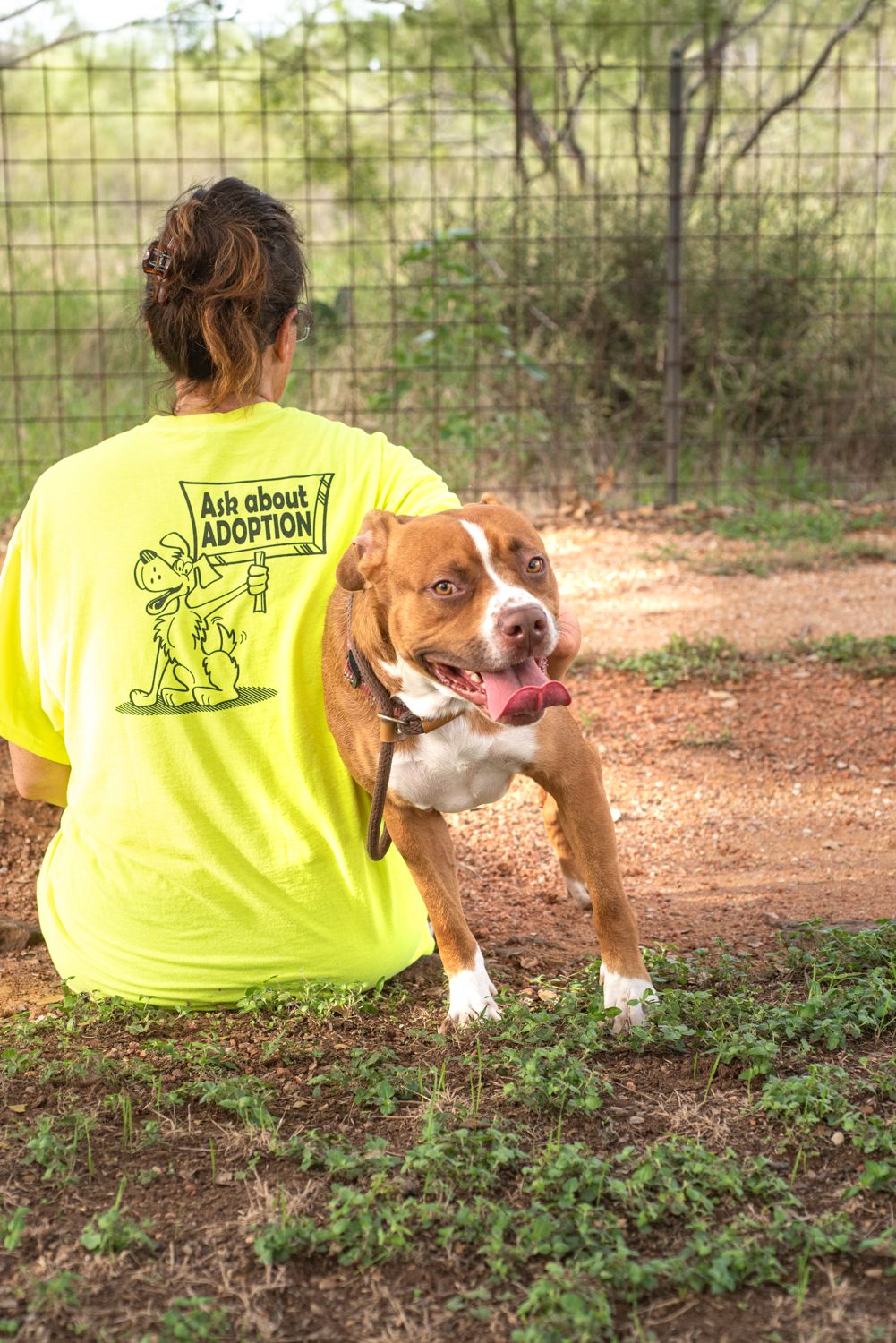 A dog adoption portrait