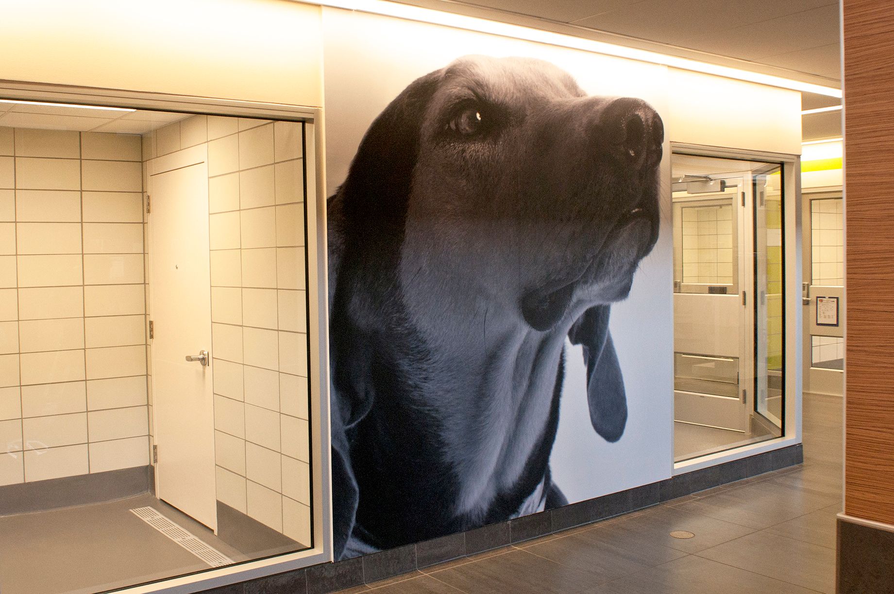 The dog rooms at The Jan-Rees Jones Center in Dallas Texas