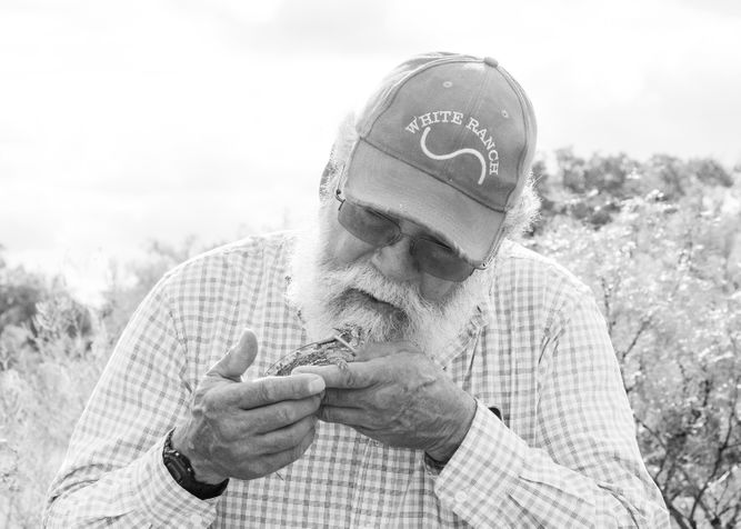 Brian Wright holding a Texas horned lizard at White Ranch