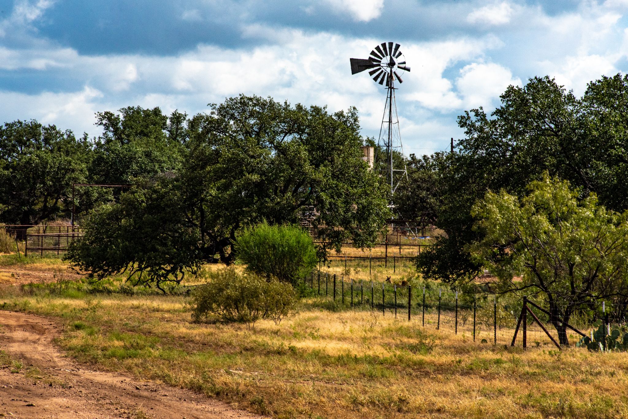 The scenery at White Ranch in Mason County Texas.