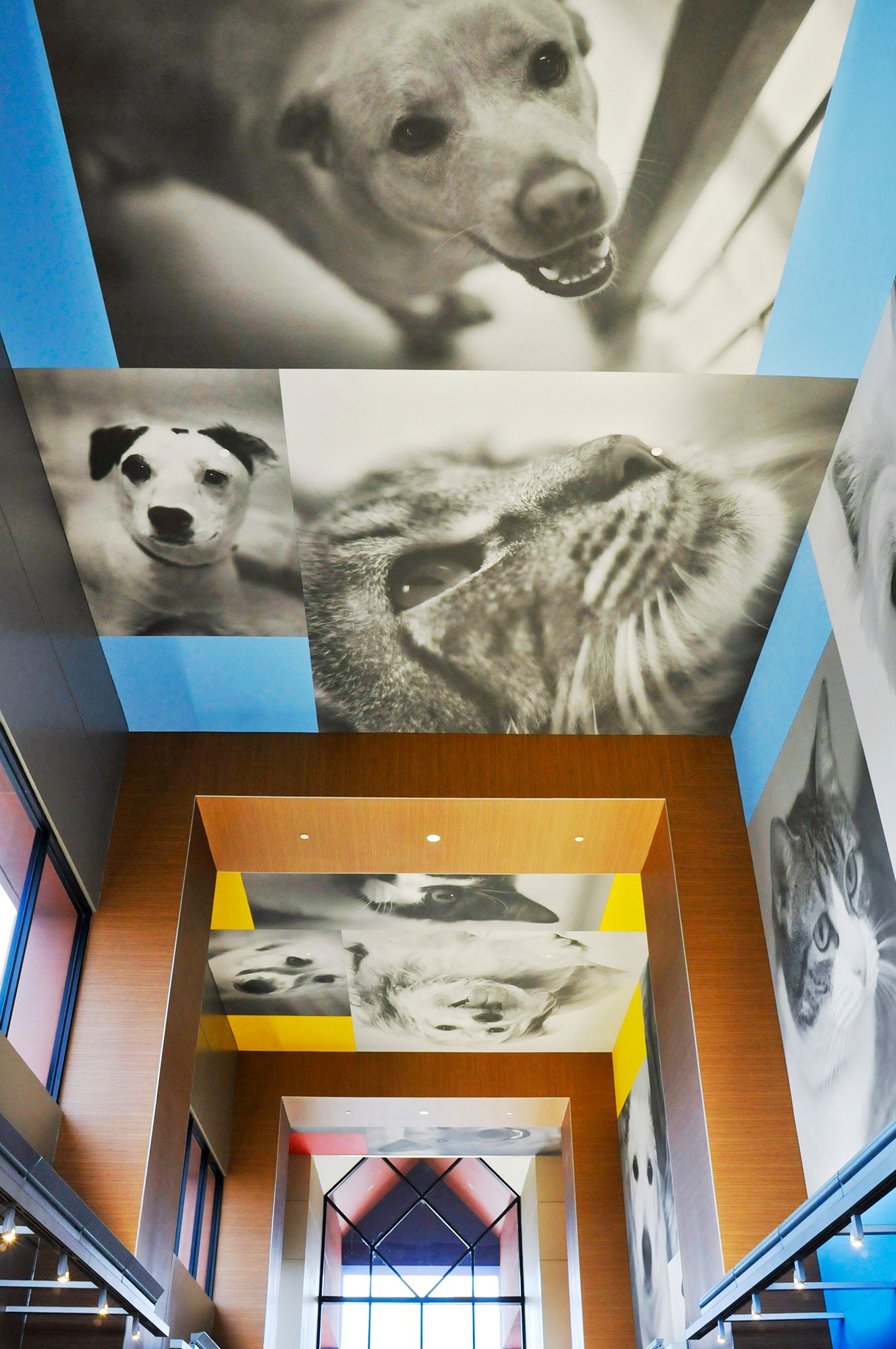 The lobby of the Jan Rees-Jones Animal Adoption Center