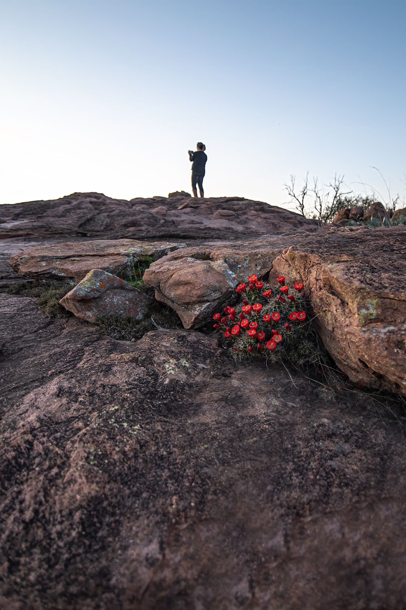 Hike