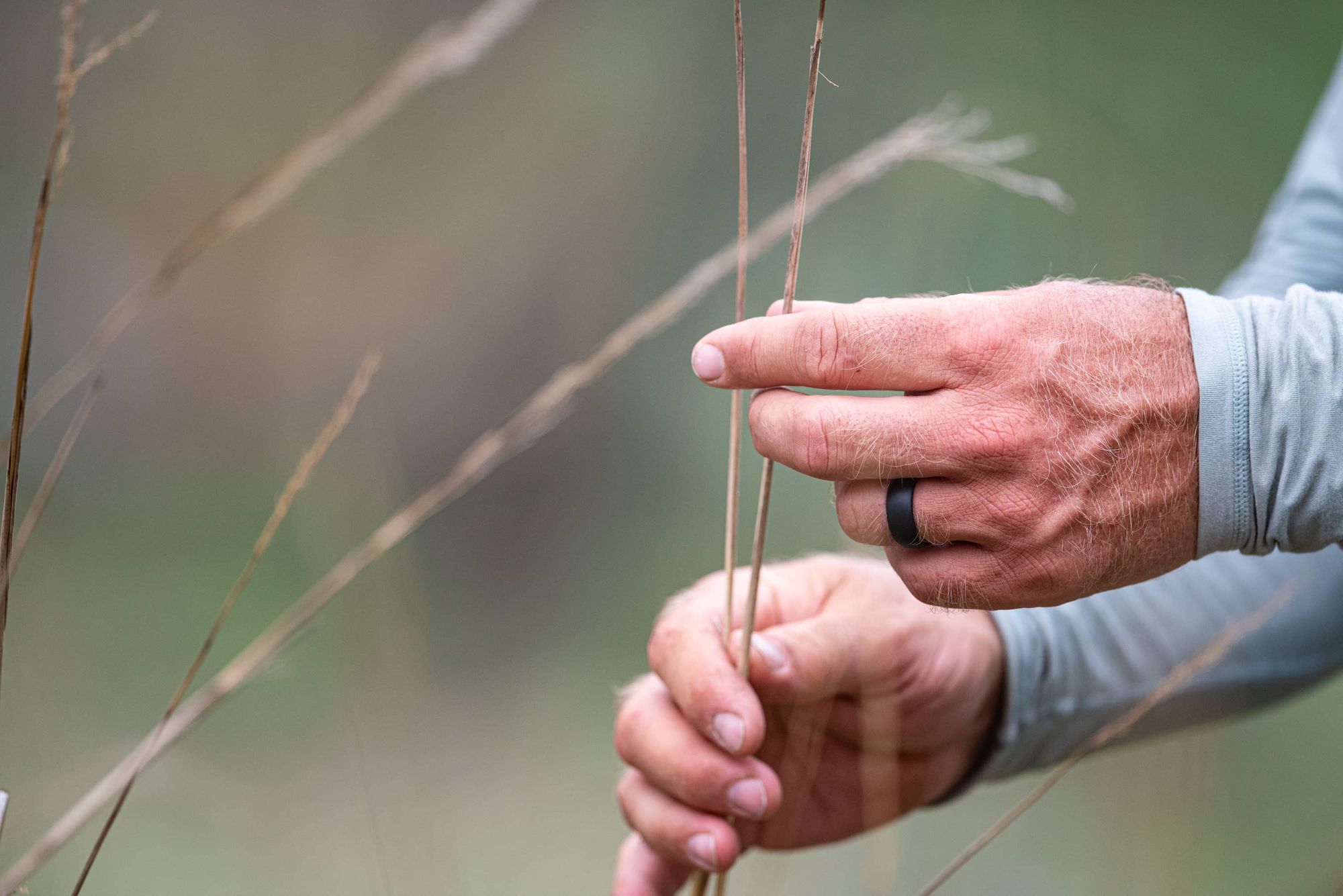 A man holding grass