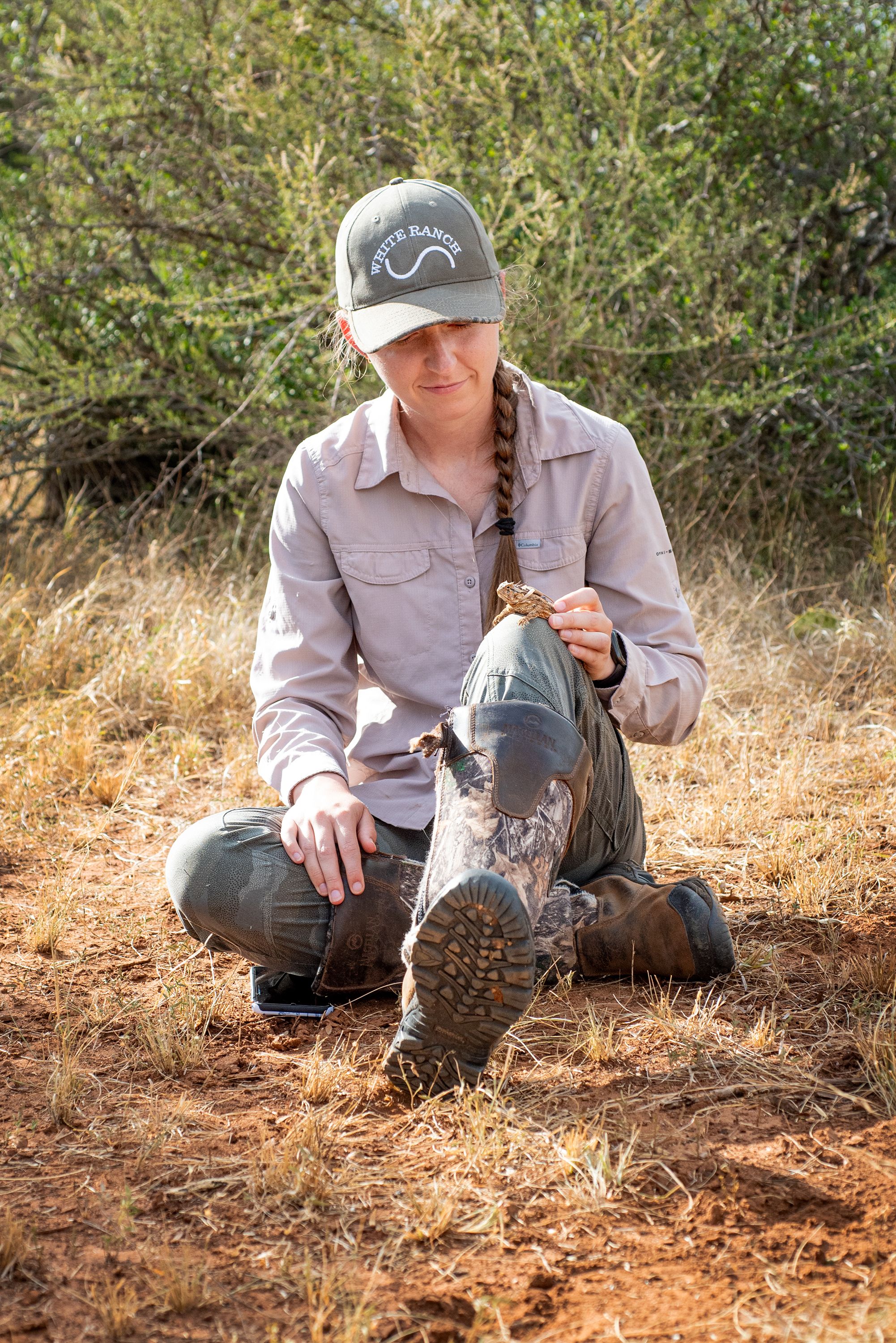 TCU Ph.D student sitting with a Texas horned lizard