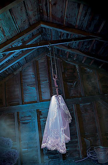 1The_Bride_Collector_LR__