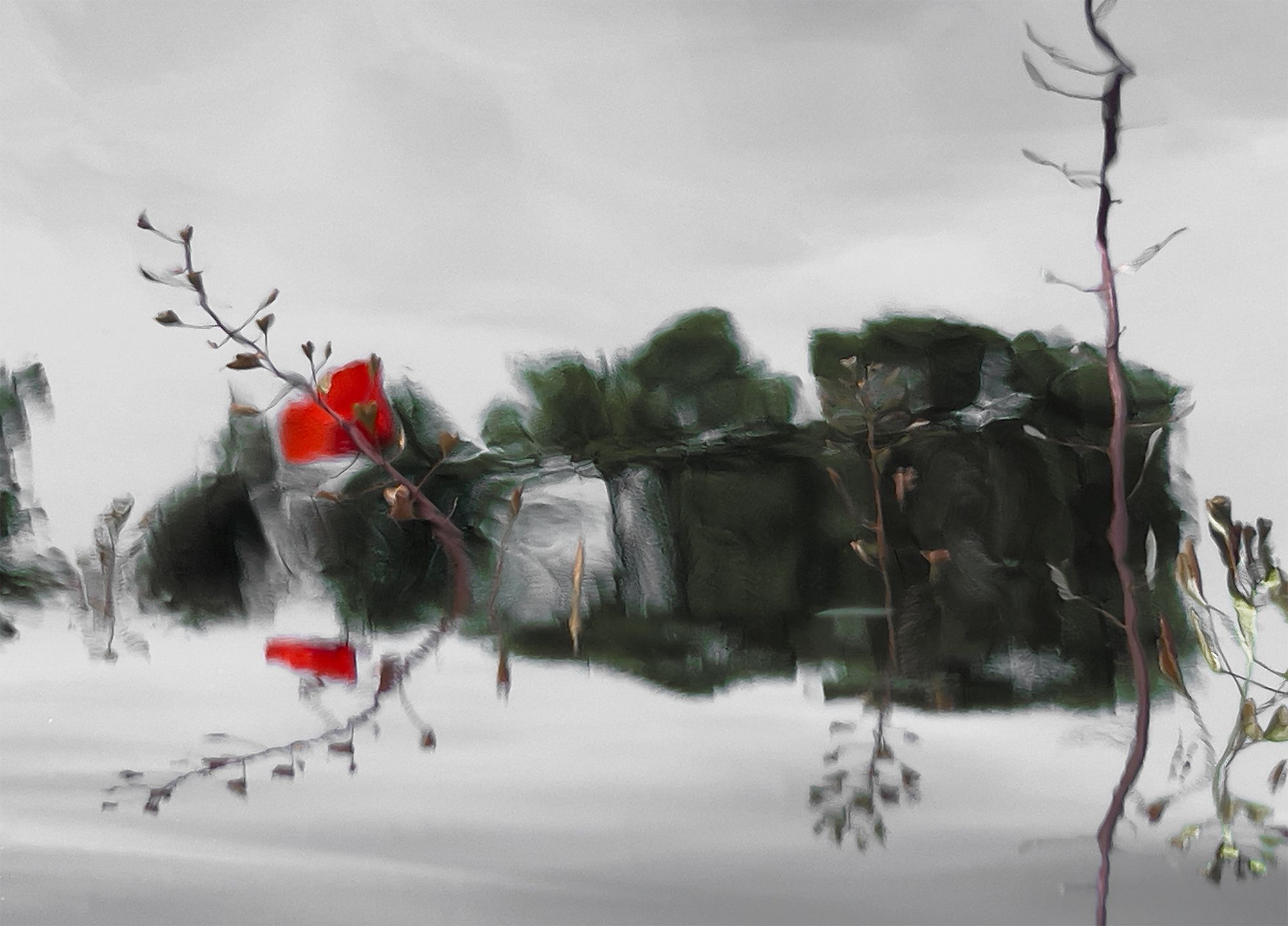 ©Elizabeth Opalenik2022_Poppy Reflecting copy.jpg