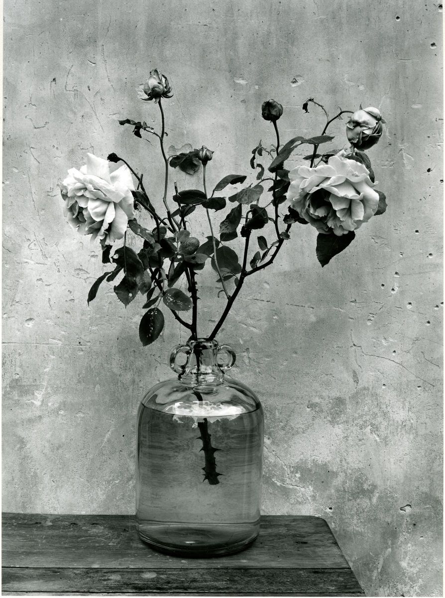 1bonbonne_et_roses_1949.jpg