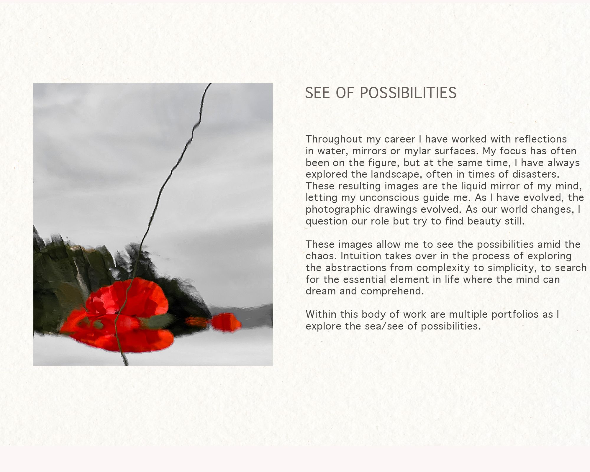 See of Possibilities.jpg