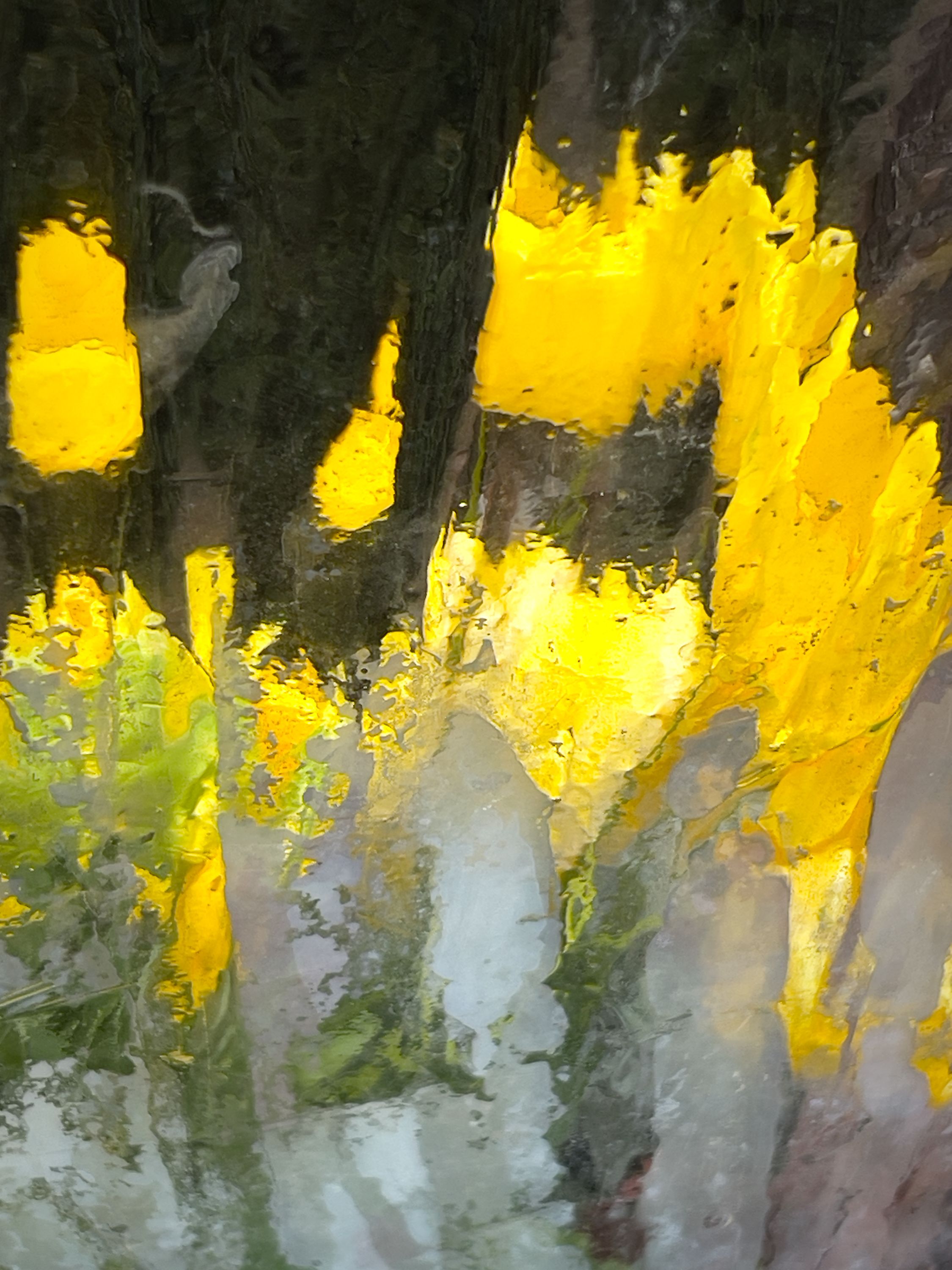 2023©Opalenik_the window kept dreaming copy.jpg