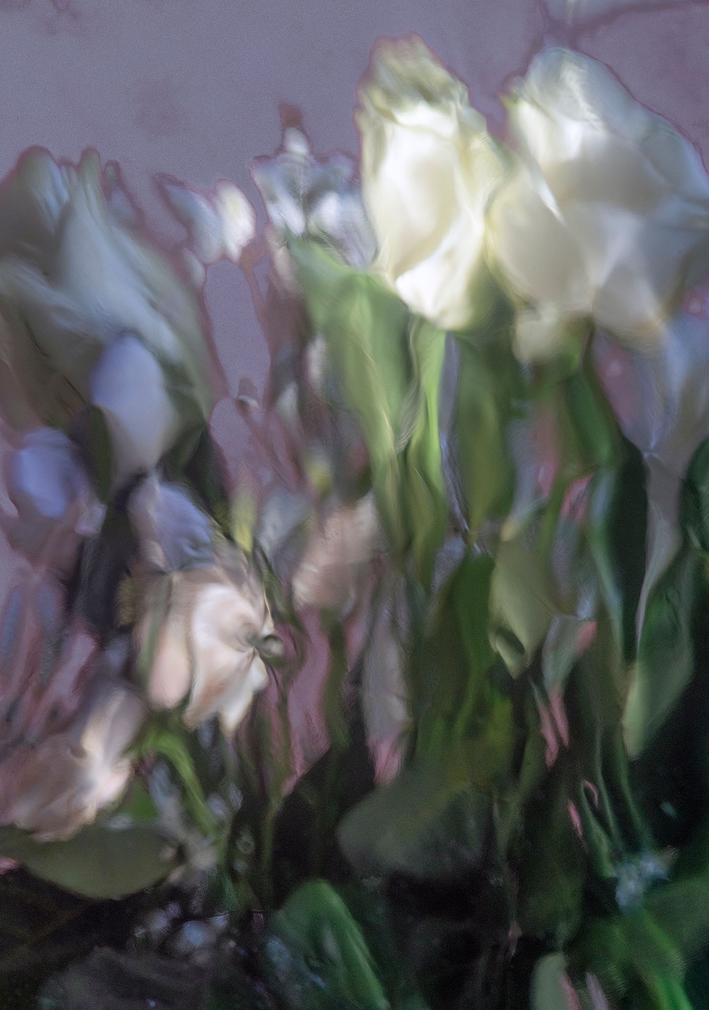 004©ElizabethOpalenik2022_Abstraction Flowers.JPG