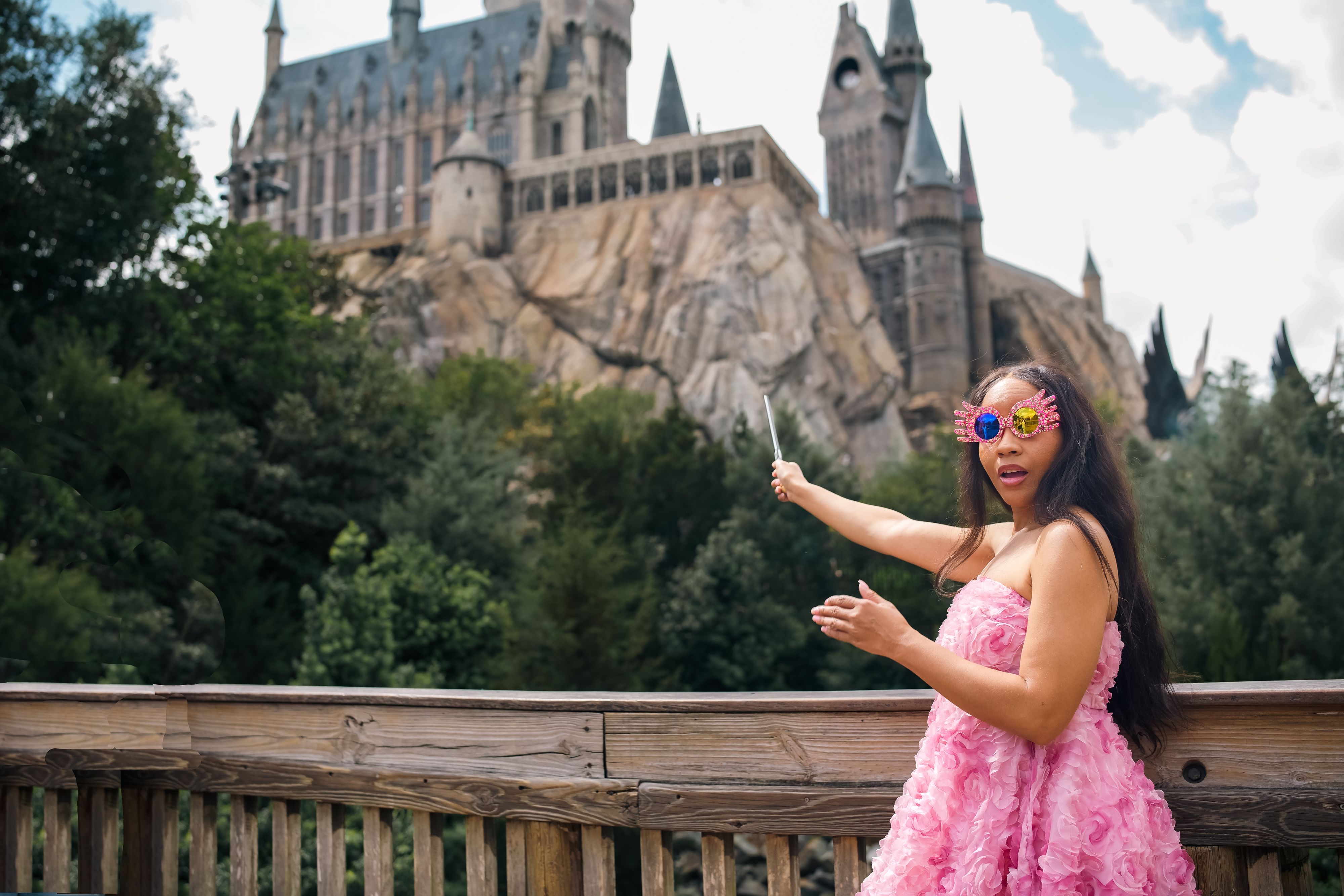 themed birthday session