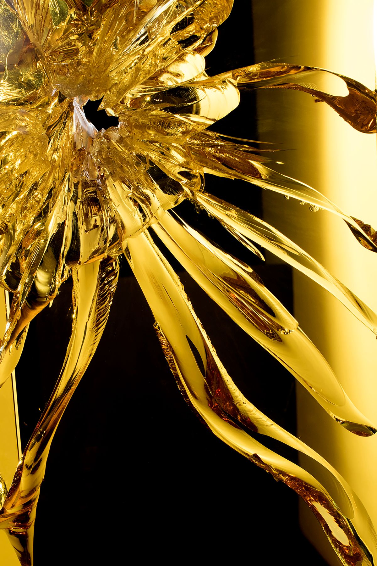 Rozarii Lynch  GlassPhotography 024.jpg