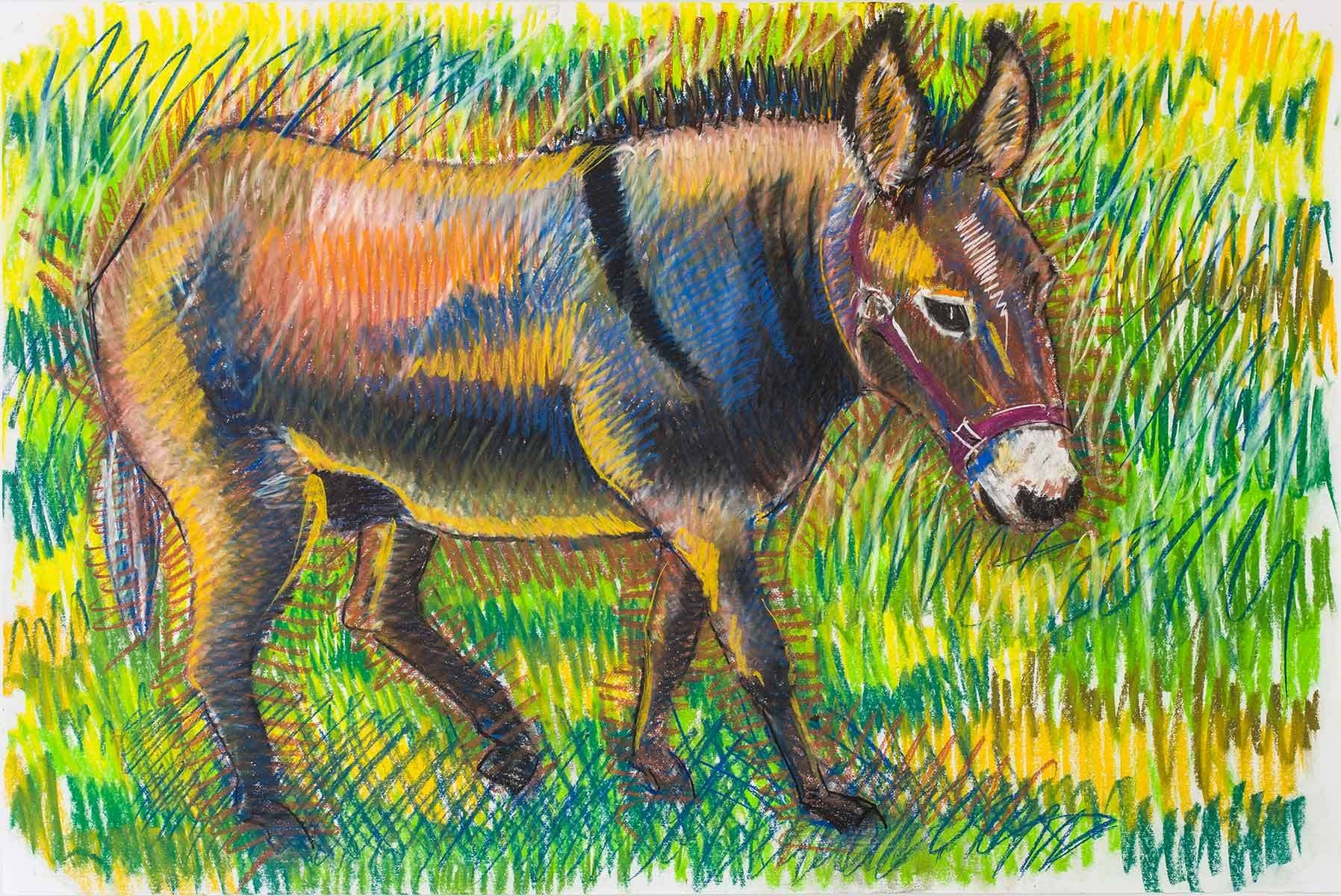 1donkey_portrait_3625